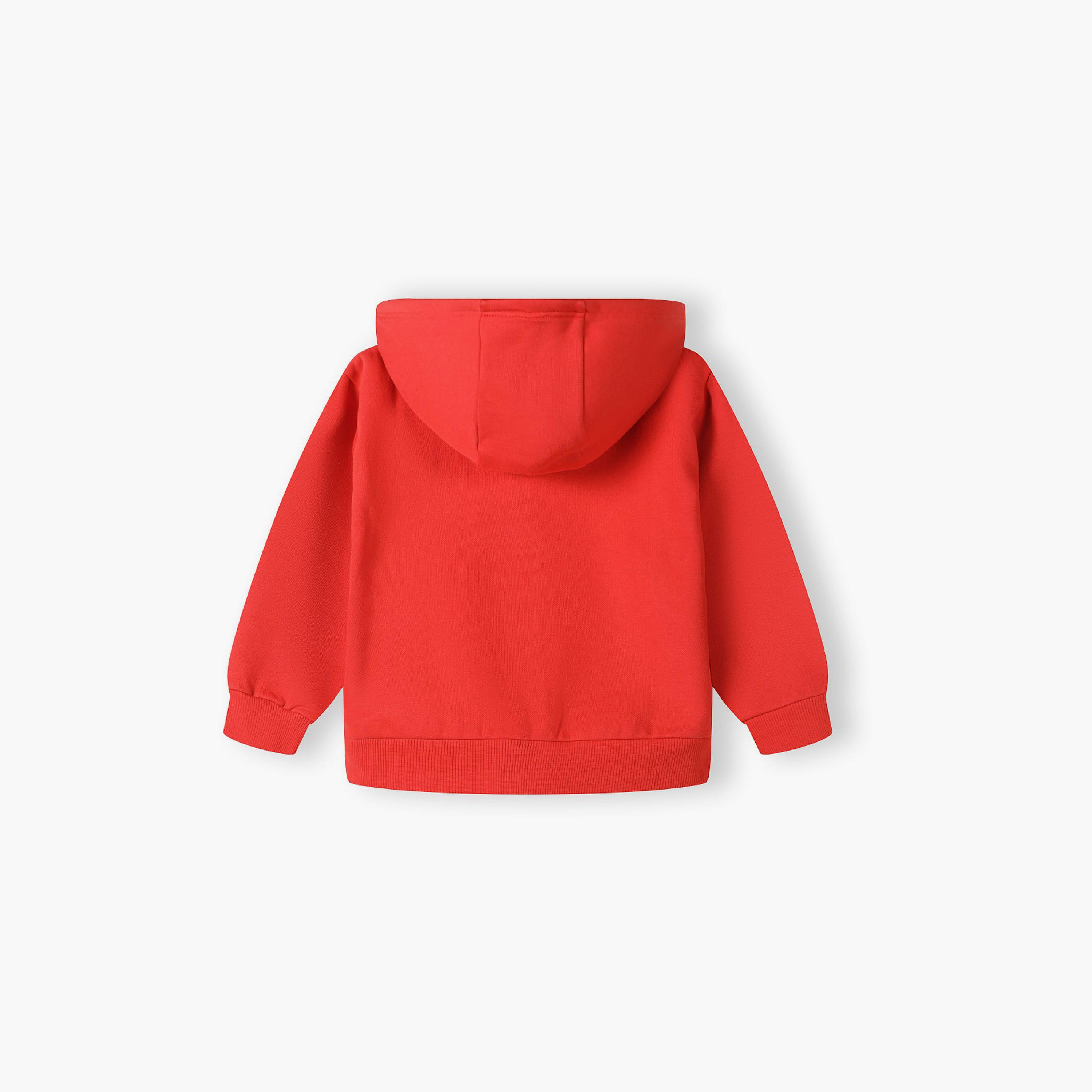 طقم من قطعتين بقلنسوة منقوشة بسحاب مع بنطلون رياضي من مينوتي-boys-clothing-setsandcoords-image-5