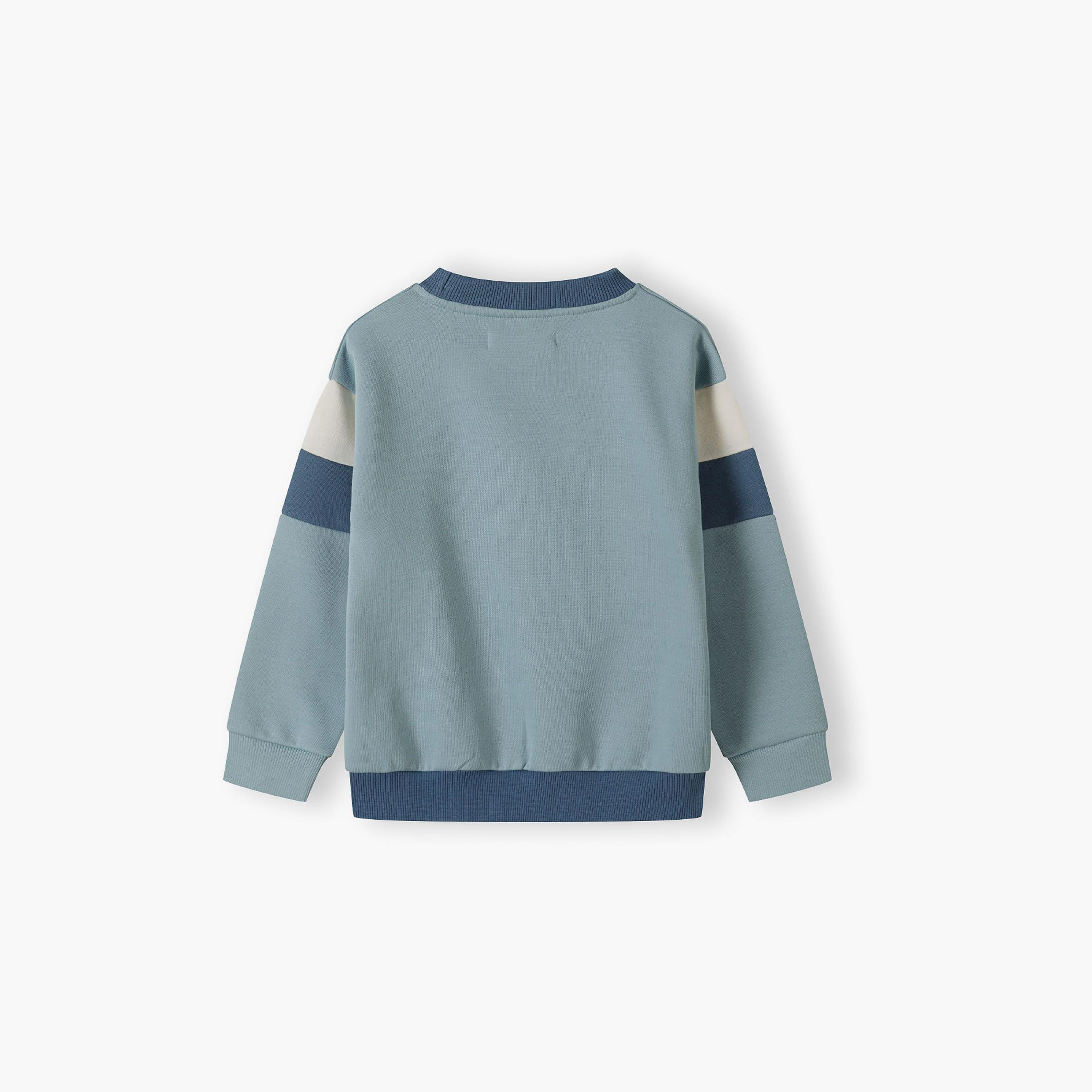 طقم من قطعتين بقلنسوة منقوشة بقبة دائرية مع بنطلون رياضي من مينوتي-boys-clothing-setsandcoords-image-6
