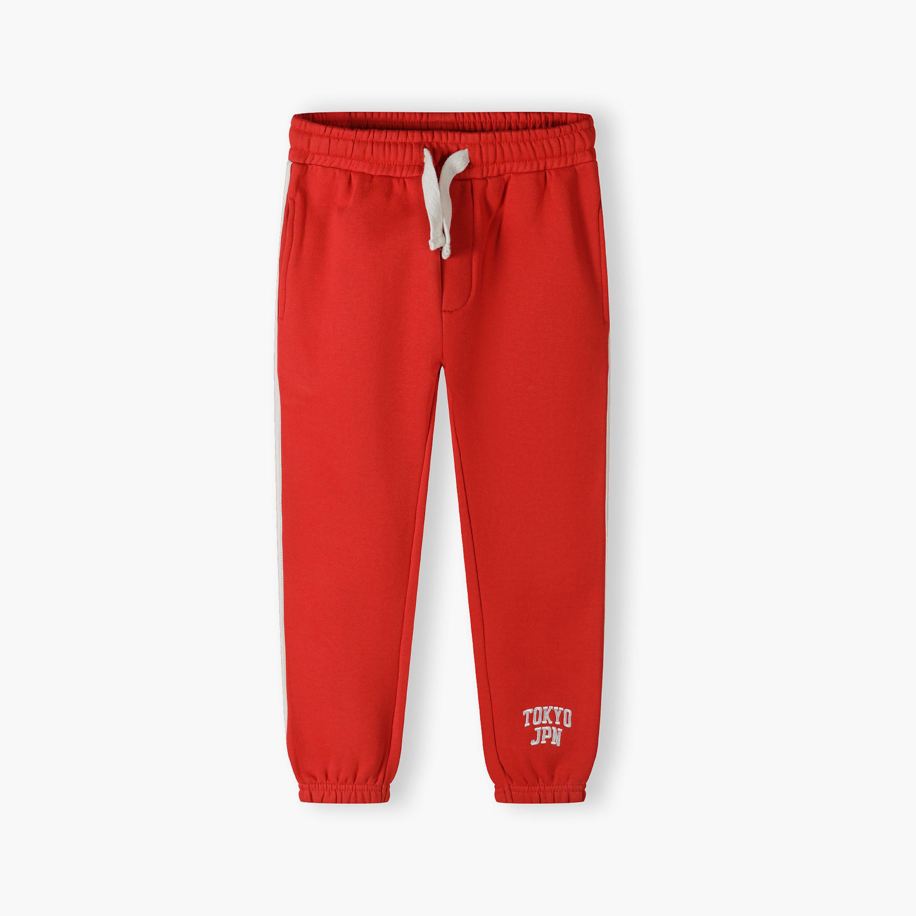 طقم من قطعتين بسويتشيرت منقوش مع بنطلون رياضي من مينوتي-boys-clothing-setsandcoords-image-5