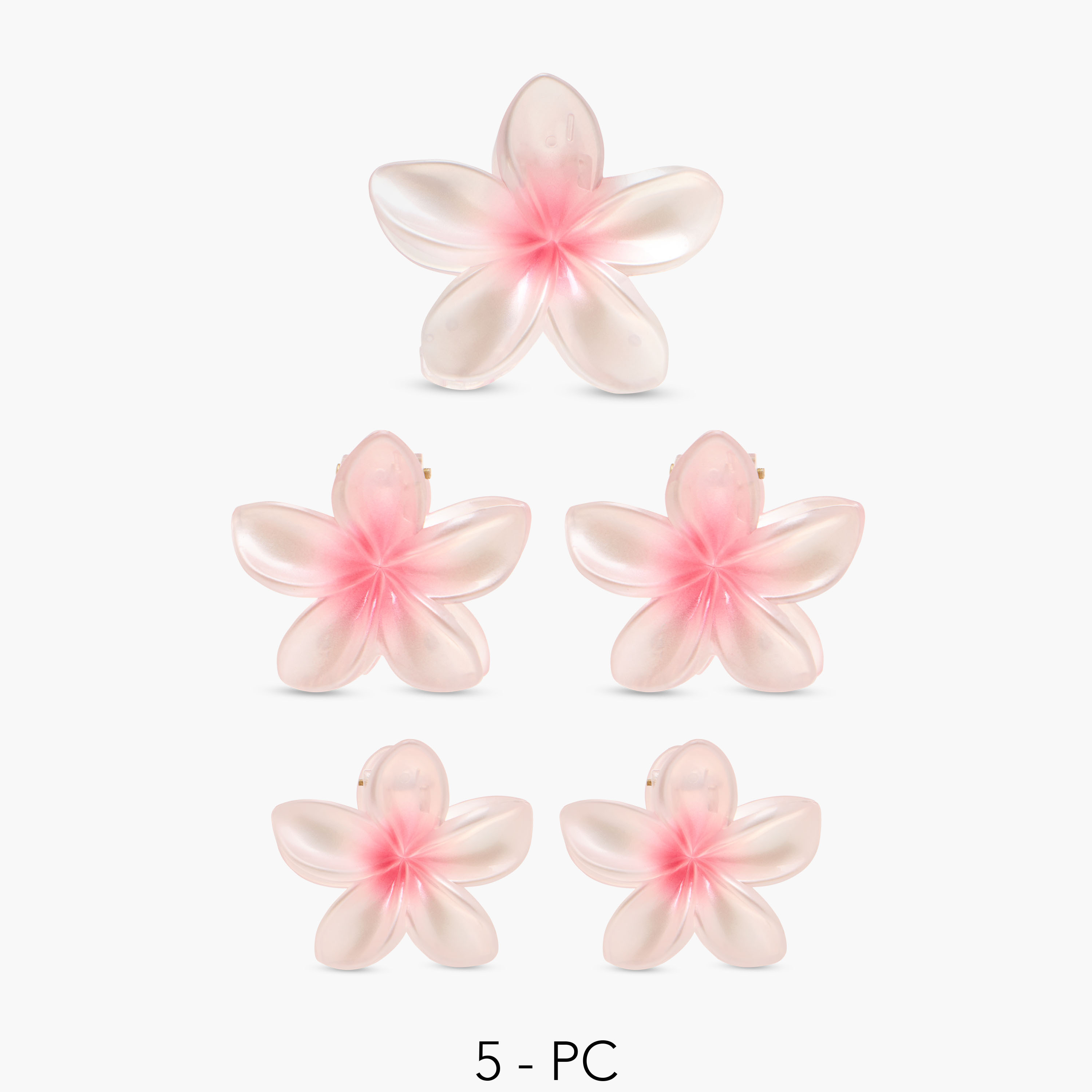 Pack of 5 Floral Hair Clamp-women-hairaccessories-clamps-image-1