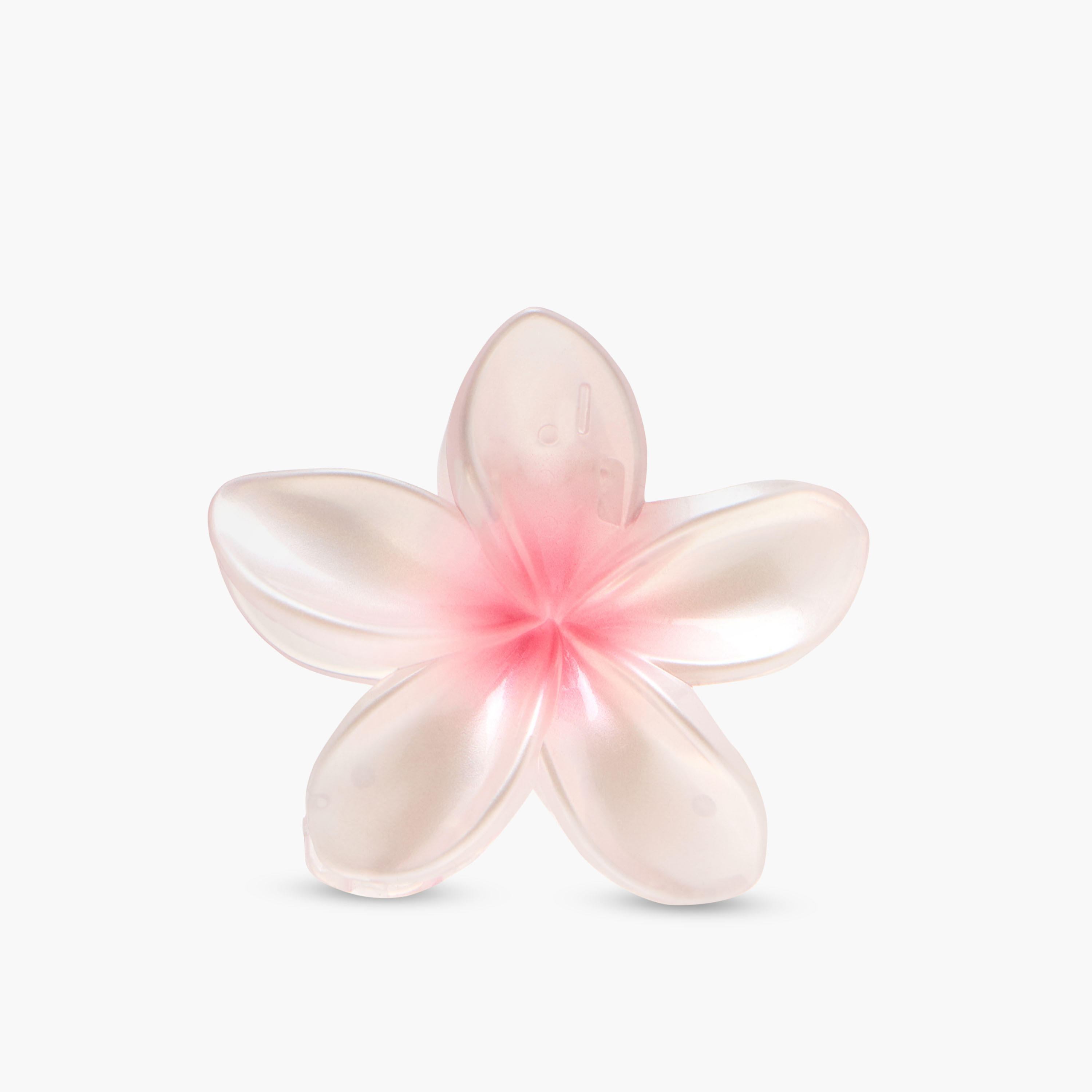 Pack of 5 Floral Hair Clamp-women-hairaccessories-clamps-image-3