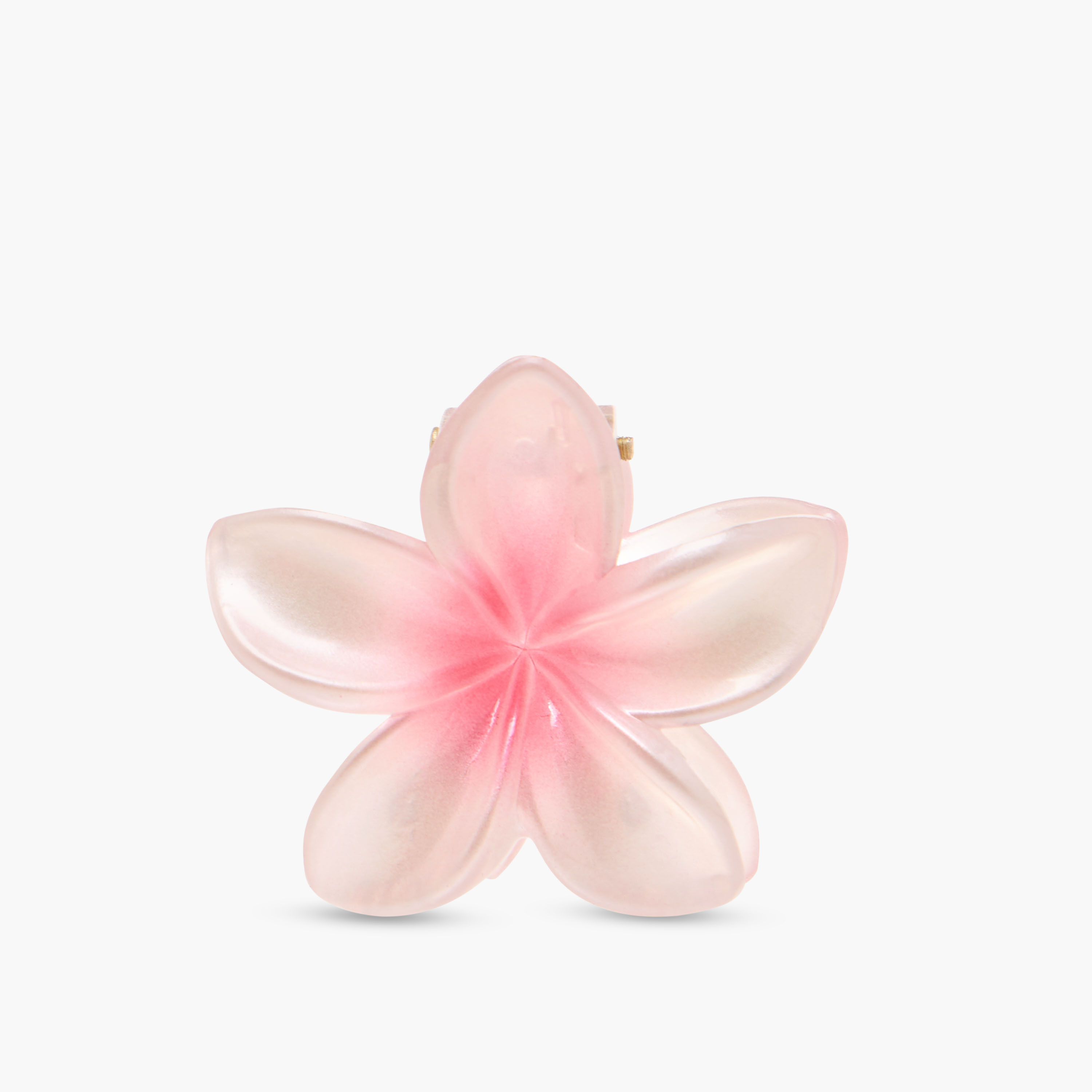 Pack of 5 Floral Hair Clamp-women-hairaccessories-clamps-image-5