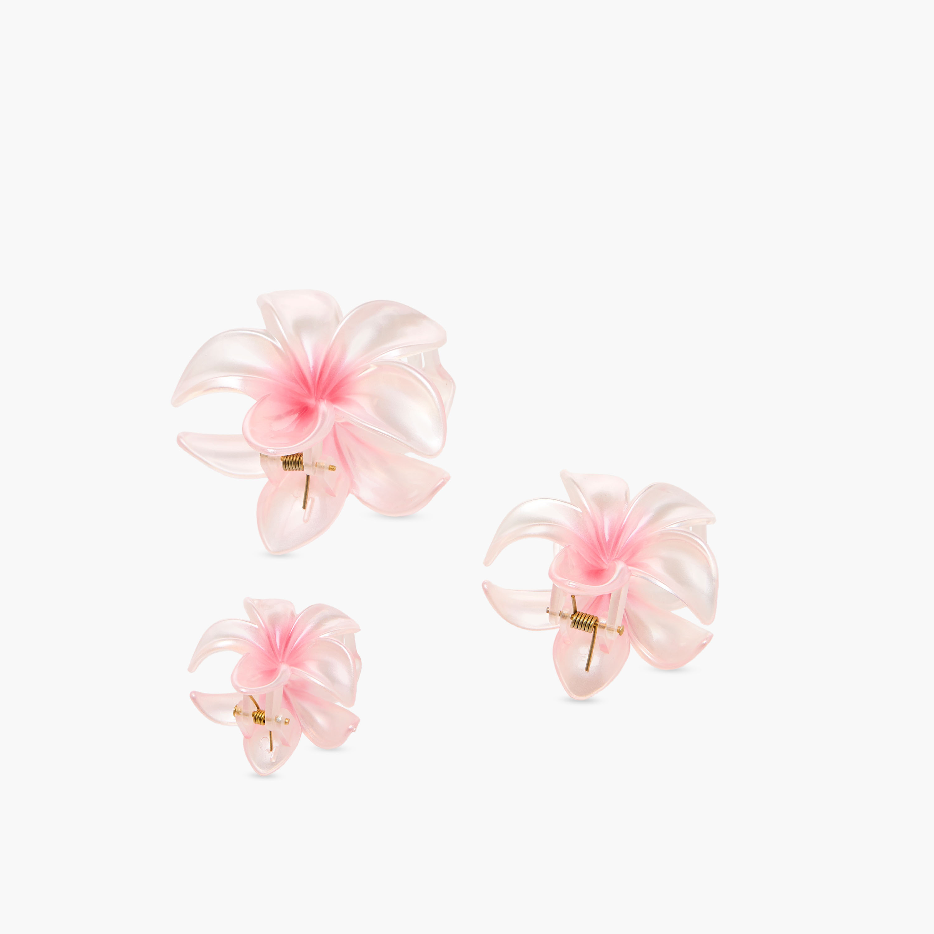 Pack of 5 Floral Hair Clamp-women-hairaccessories-clamps-image-6