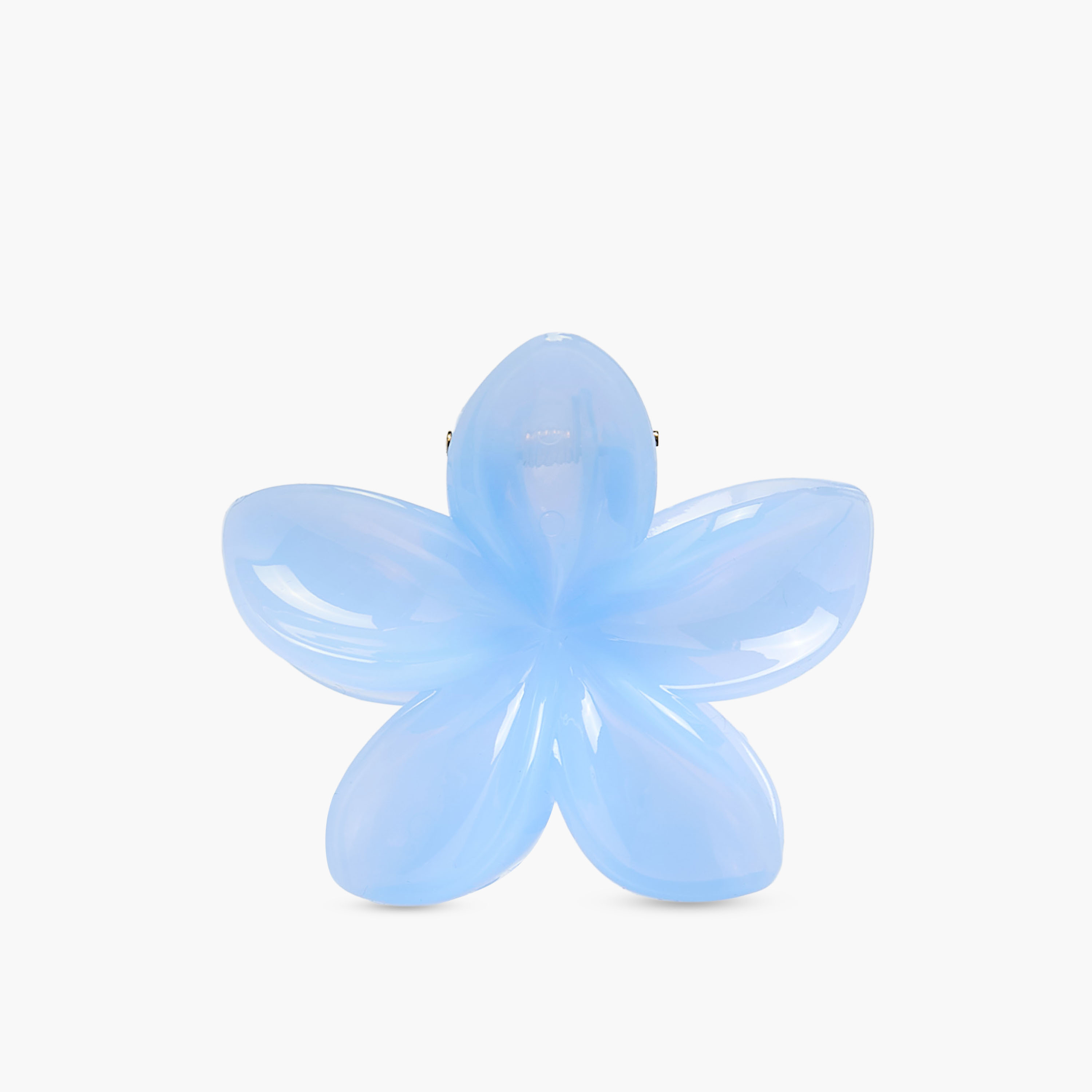 Pack of 5 Floral Hair Clamp-women-hairaccessories-clamps-image-3