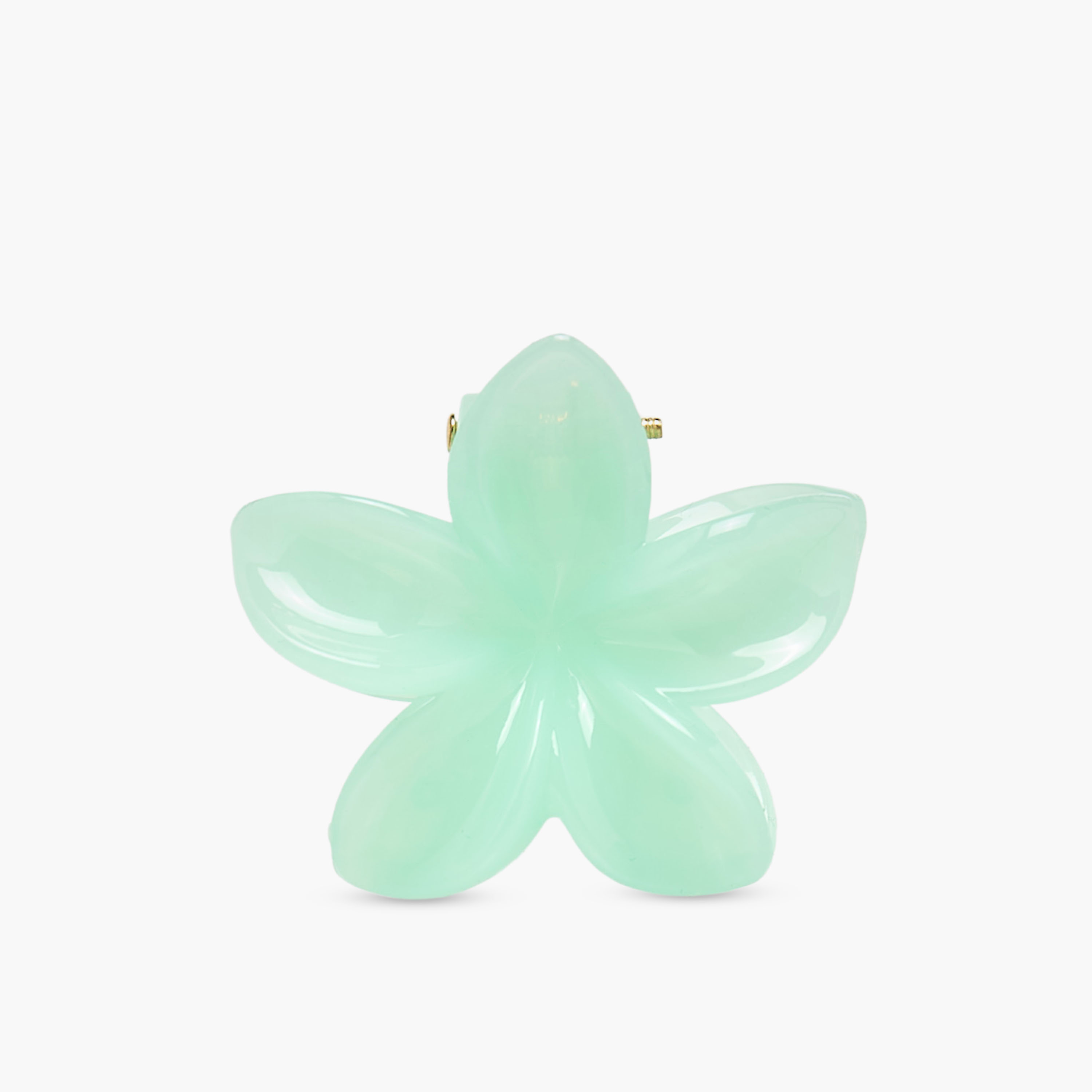 Pack of 5 Floral Hair Clamp-women-hairaccessories-clamps-image-5