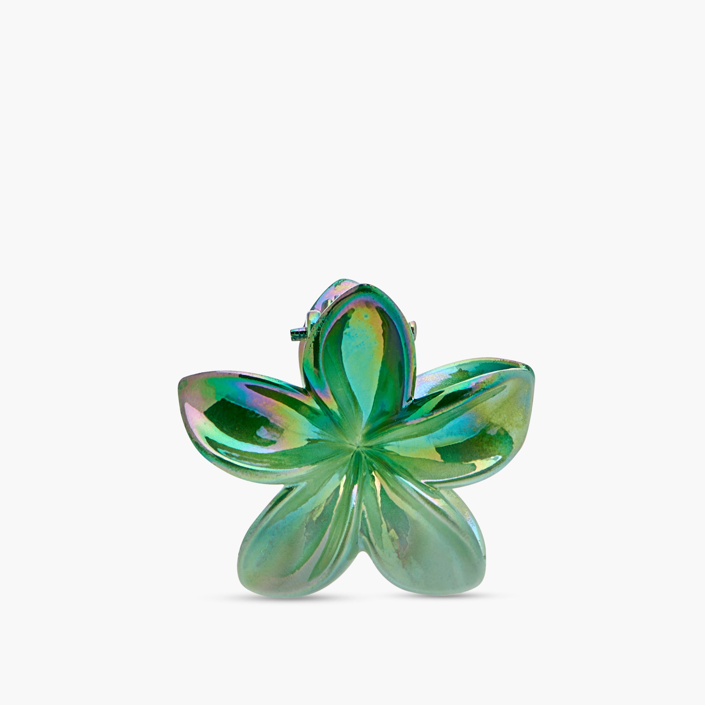 Pack of 5 Floral Hair Clamp-women-hairaccessories-clamps-image-7