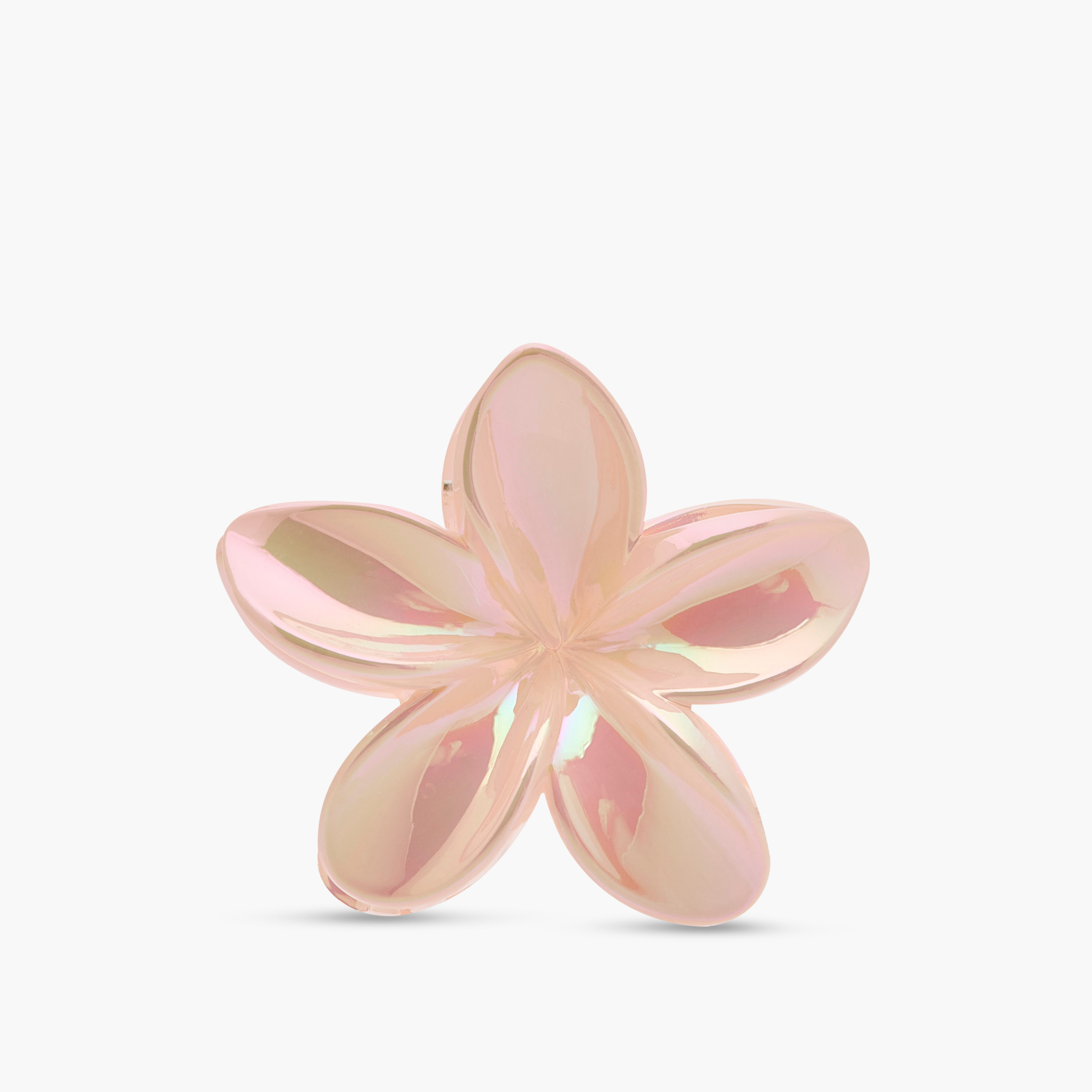Pack of 5 Floral Hair Clamp-women-hairaccessories-clamps-image-3