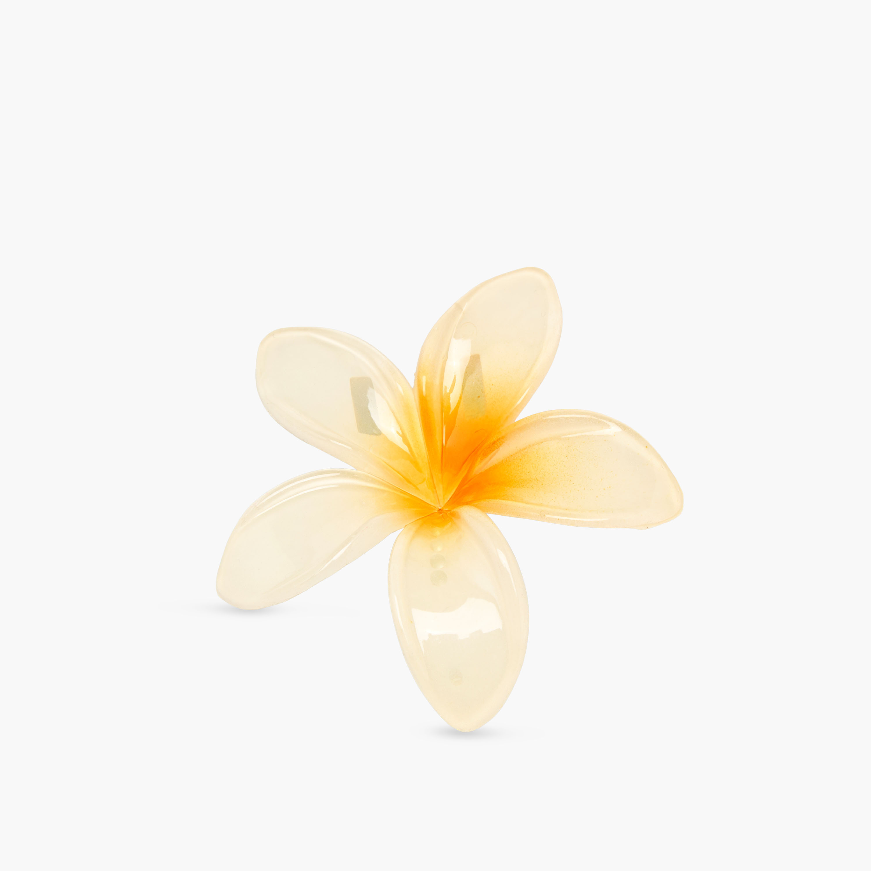 Gloo Pack of 4 Tropical Flower Shaped Hair Clamps-women-hairaccessories-clamps-image-5