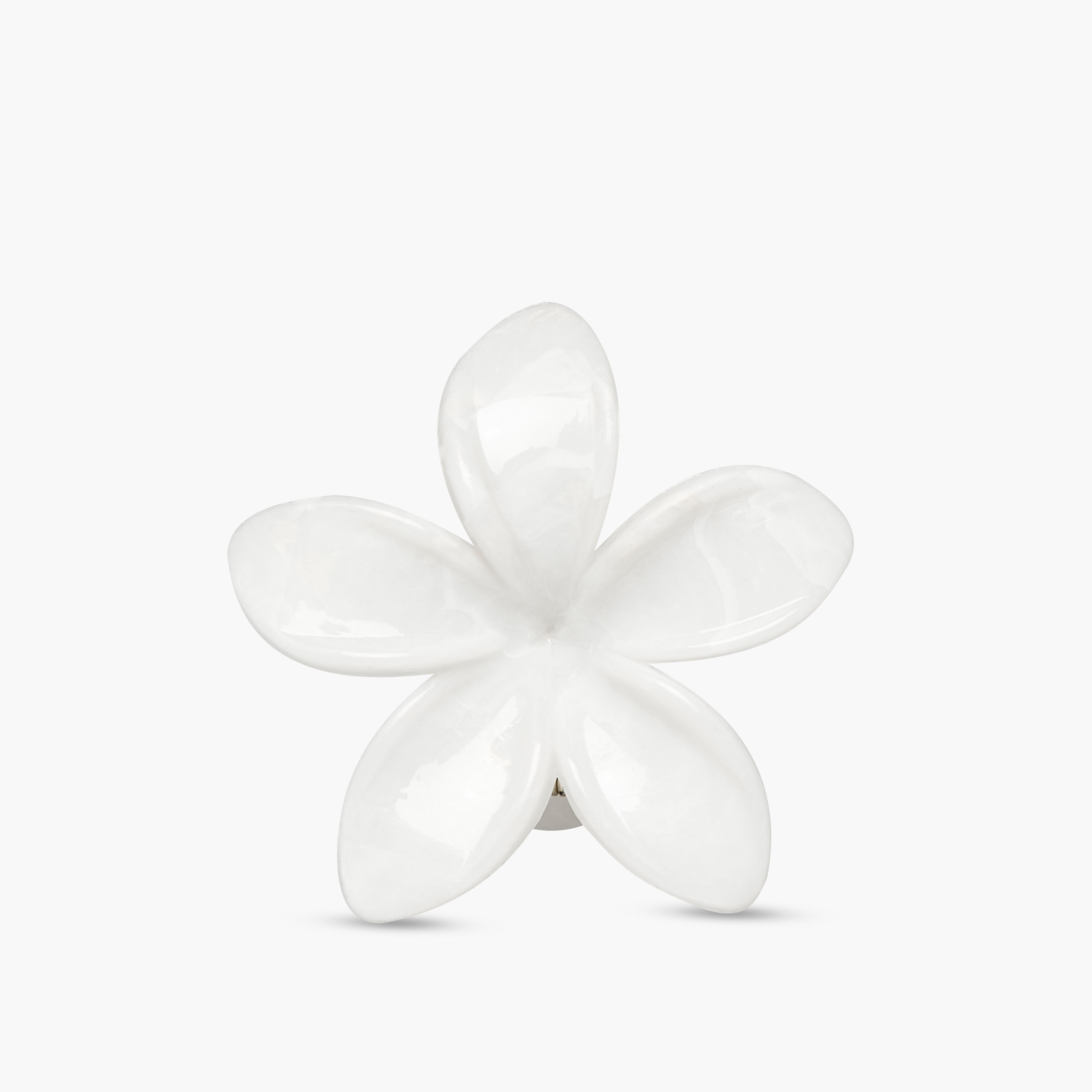 Gloo Pack of 4 Tropical Flower Shaped Hair Clamps-women-hairaccessories-clamps-image-4