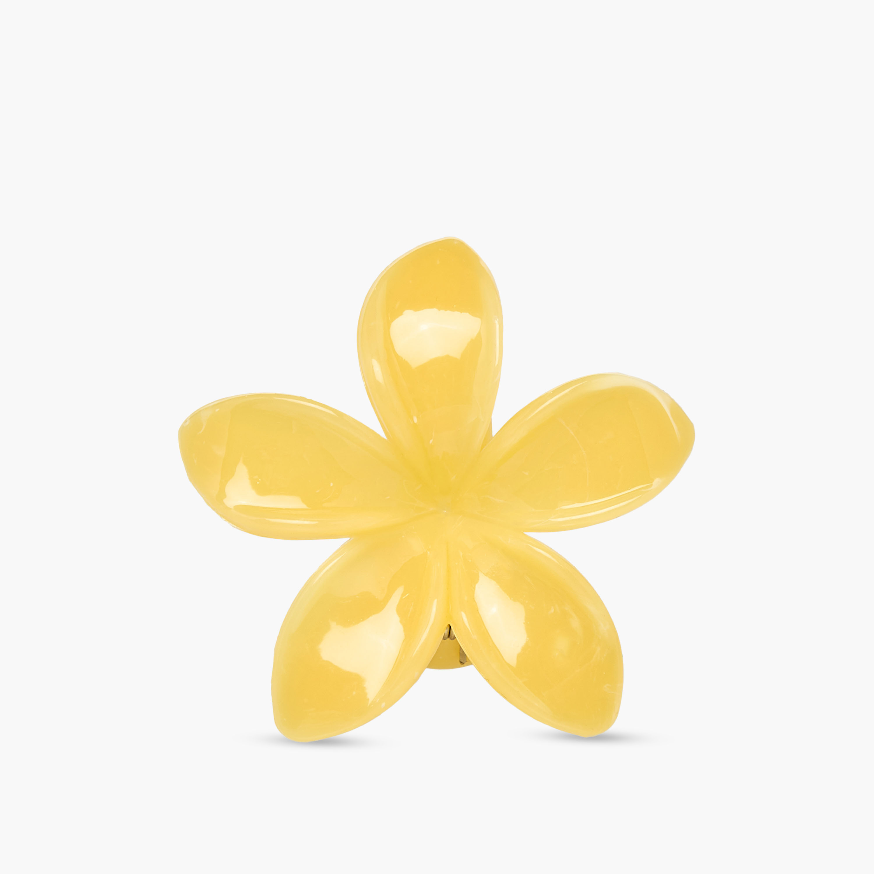 Gloo Pack of 4 Tropical Flower Shaped Hair Clamps-women-hairaccessories-clamps-image-5