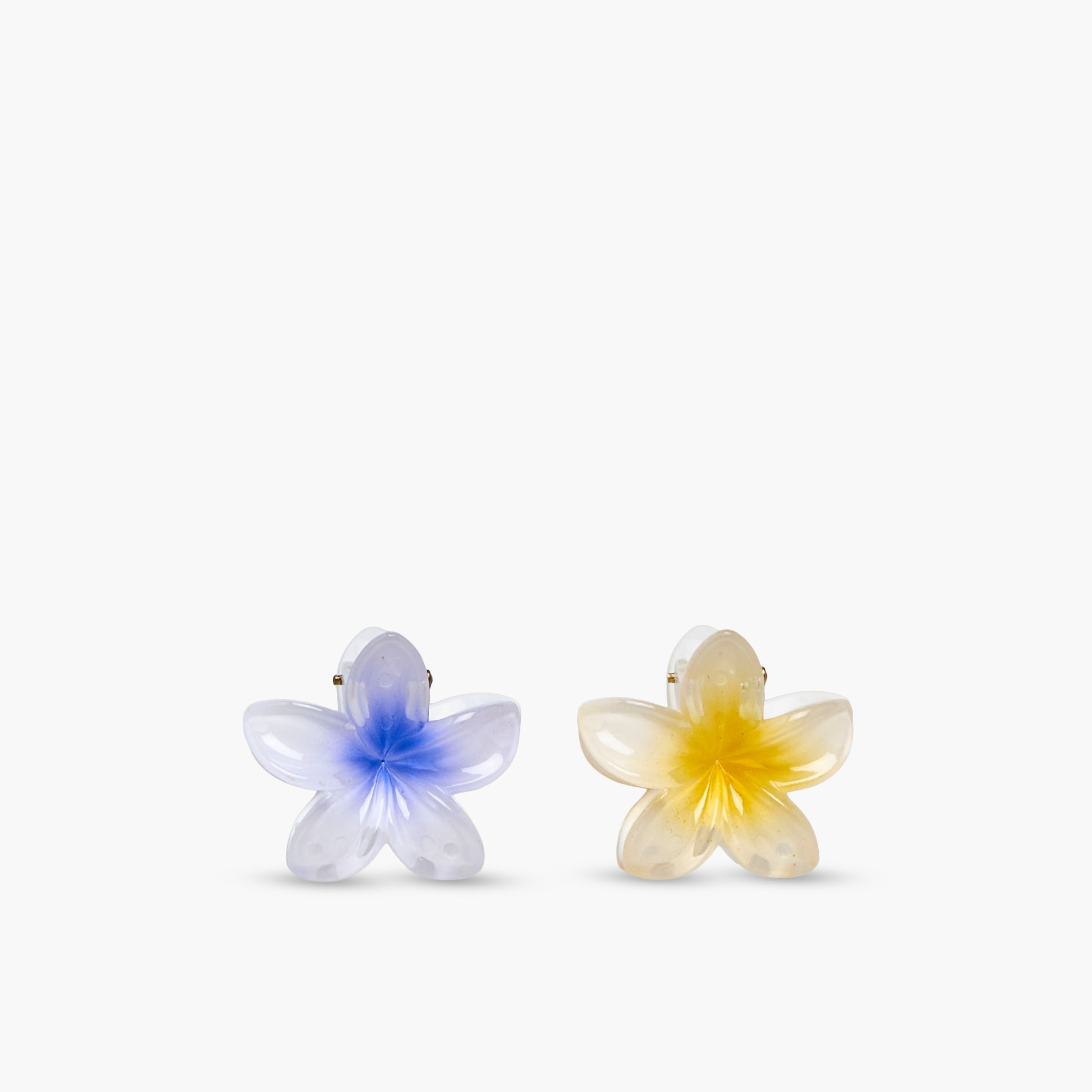 Pack of 6 Floral Hair Clamps-women-hairaccessories-clamps-image-2