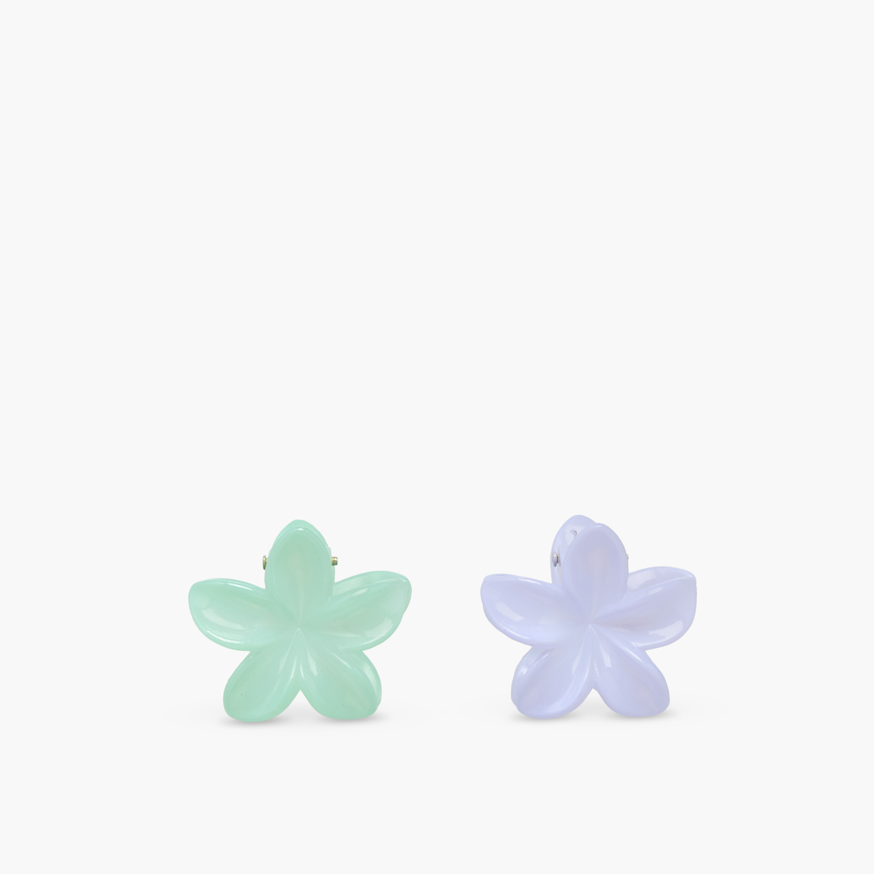 Pack of 6 Floral Hair Clamps-women-hairaccessories-clamps-image-3
