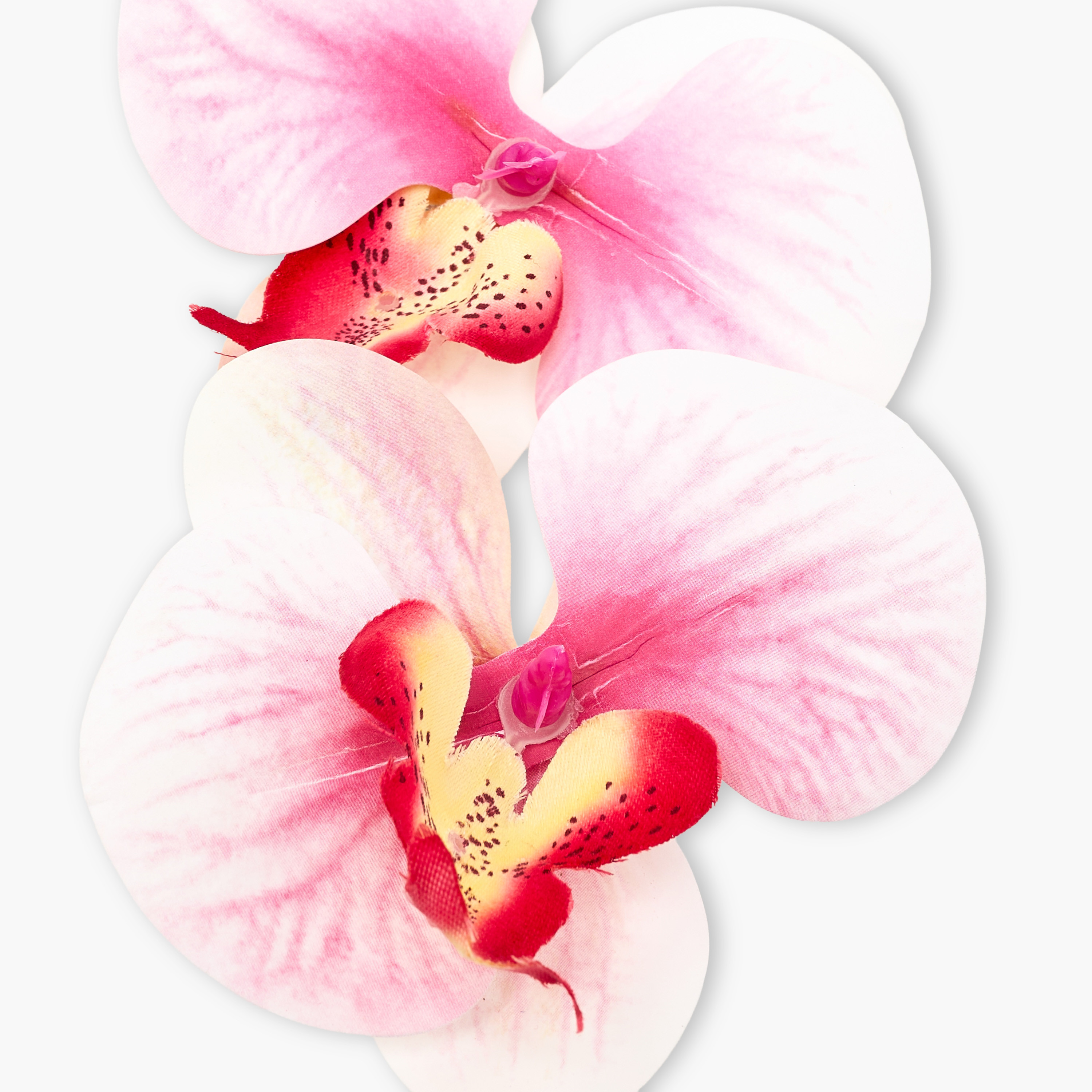 Pack of 2 Floral Shaped Hair Clip-women-hairaccessories-clips-image-3
