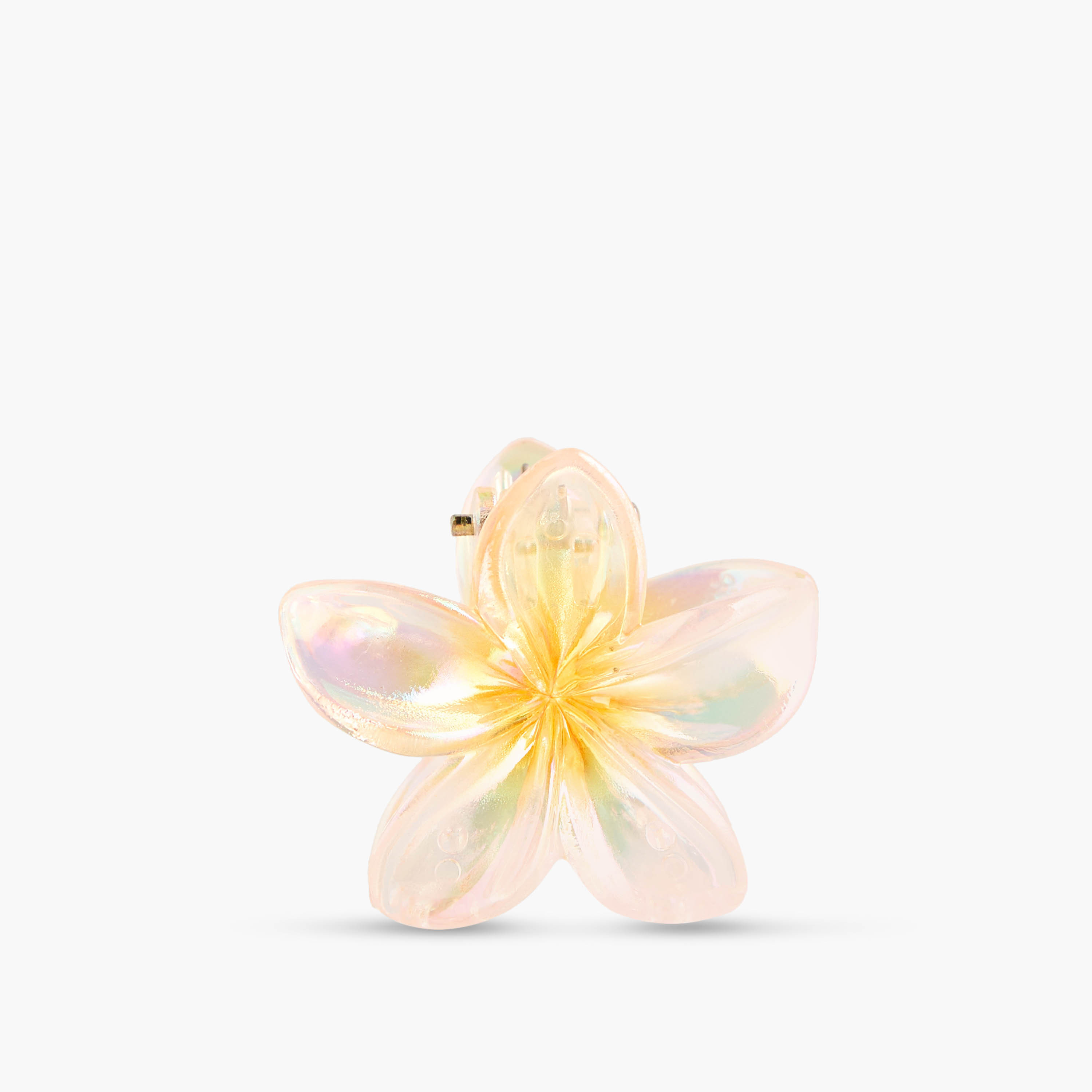 Pack of 5 - Floral Hair Clamp-women-hairaccessories-clamps-image-7