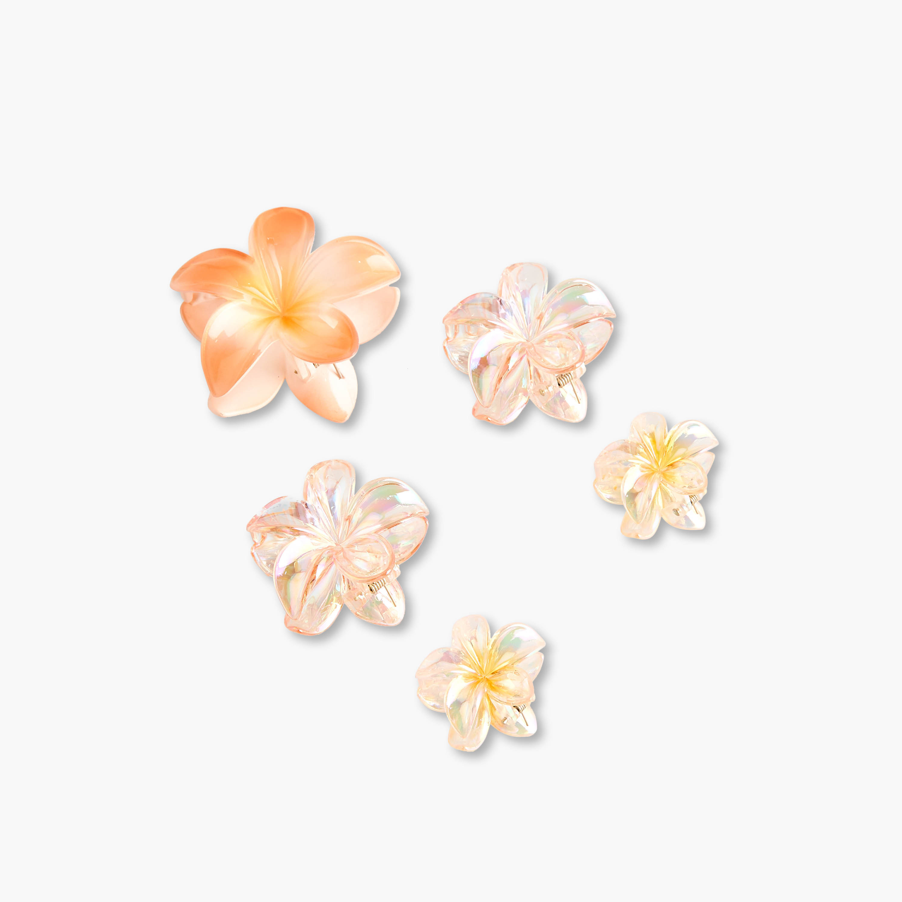 Pack of 5 - Floral Hair Clamp-women-hairaccessories-clamps-image-8