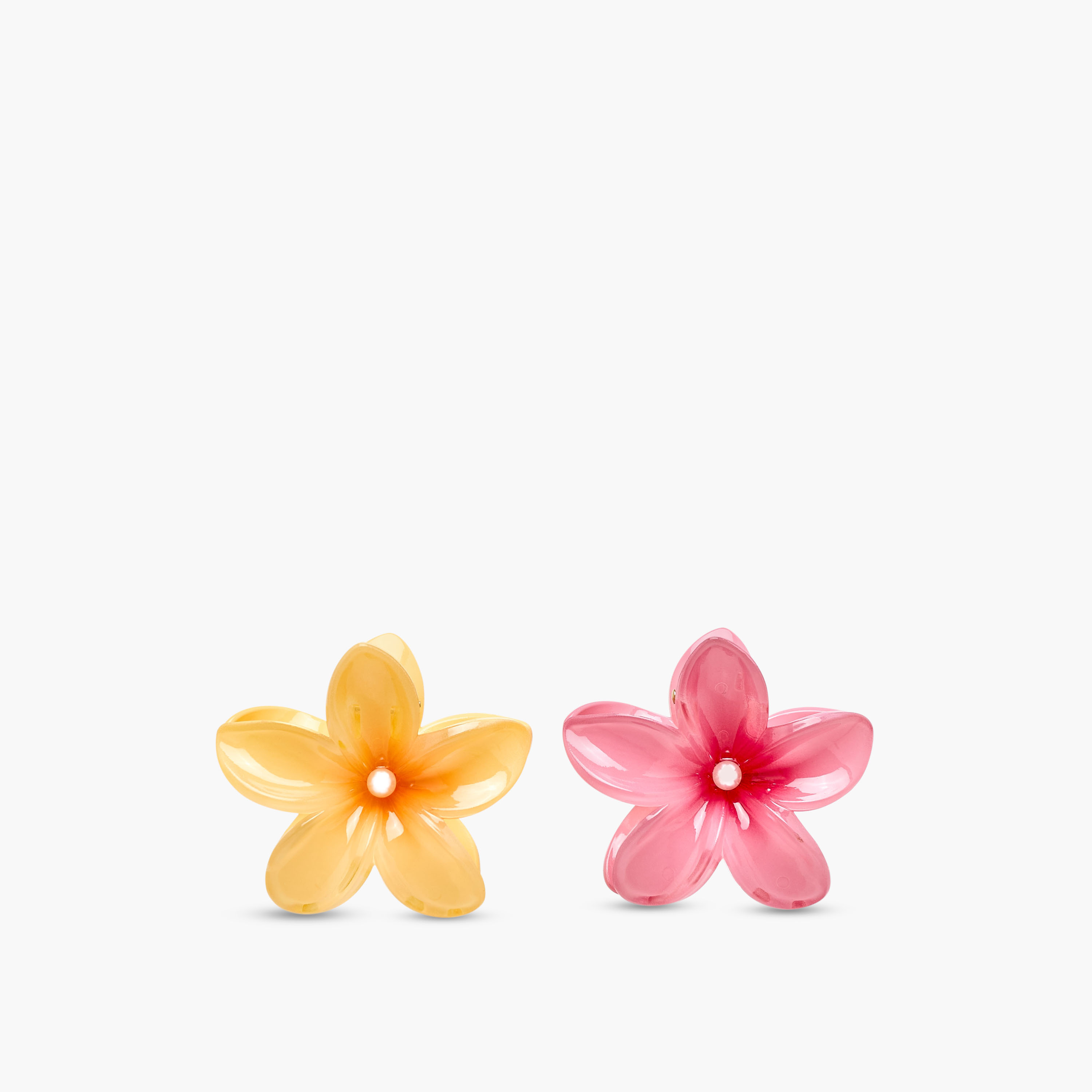 Pack of 5 - Floral Hair Clamp-women-hairaccessories-clamps-image-3