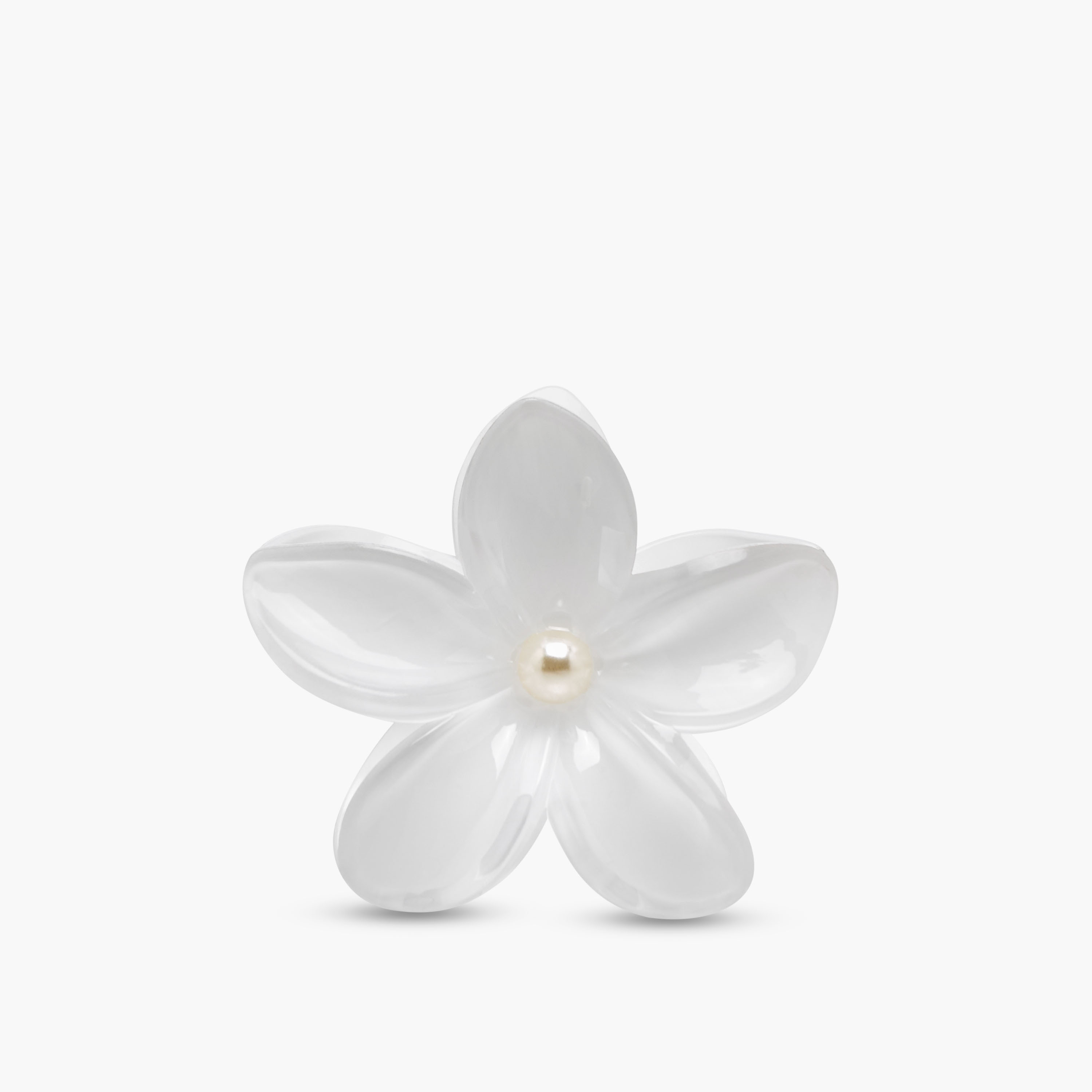 Pack of 5 - Floral Hair Clamp-women-hairaccessories-clamps-image-4