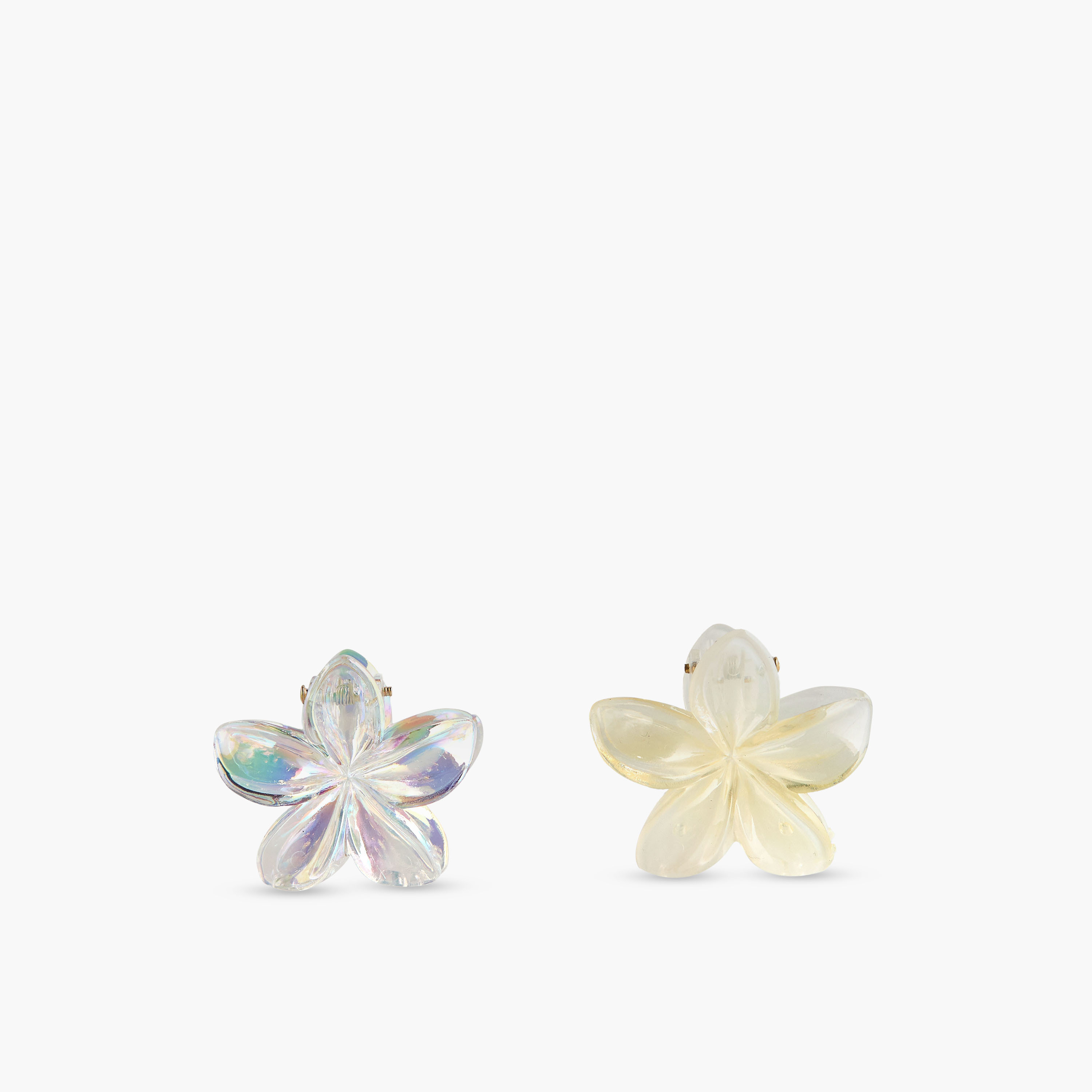 Pack of 6 Floral Hair Clamps-women-hairaccessories-clamps-image-5
