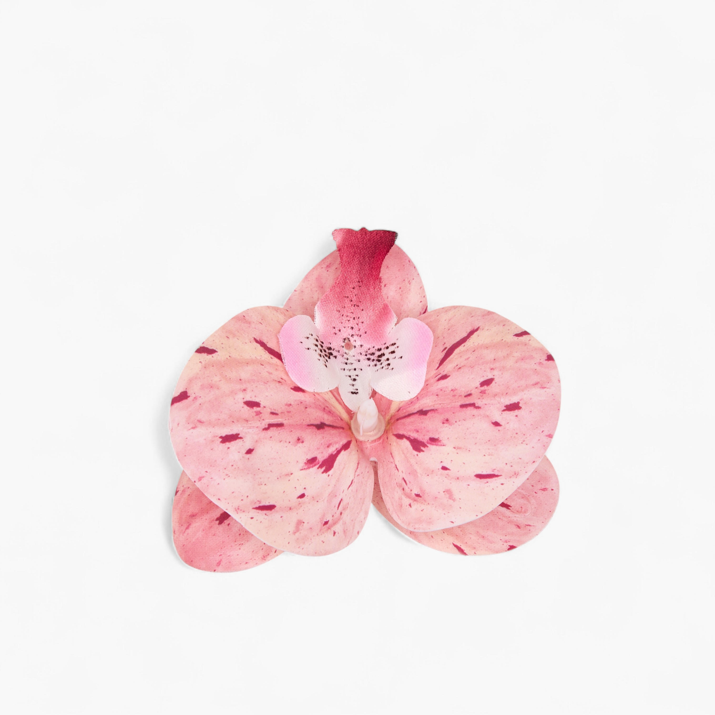 طقم مشابك أحذية قطعتين بتصميم زهرة أوركيد من جلو-women-clothingaccessories-novelties-image-3