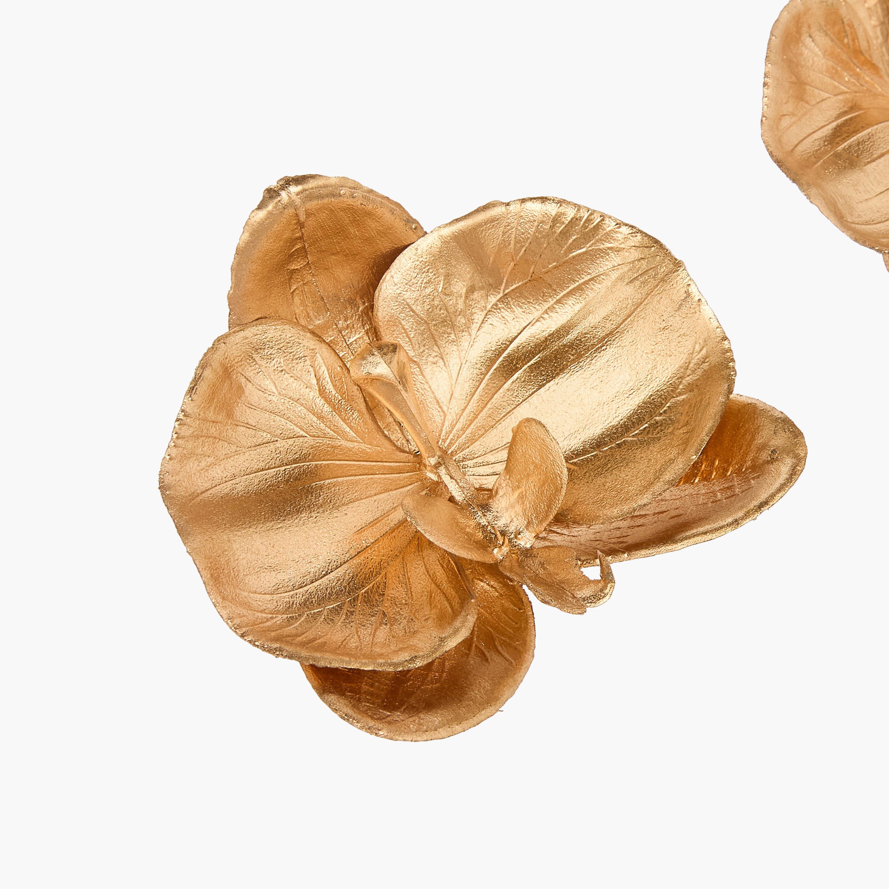 مشابك حذاء بتصميم زهرة الأوركيد - طقم من قطعتين-women-clothingaccessories-novelties-image-3
