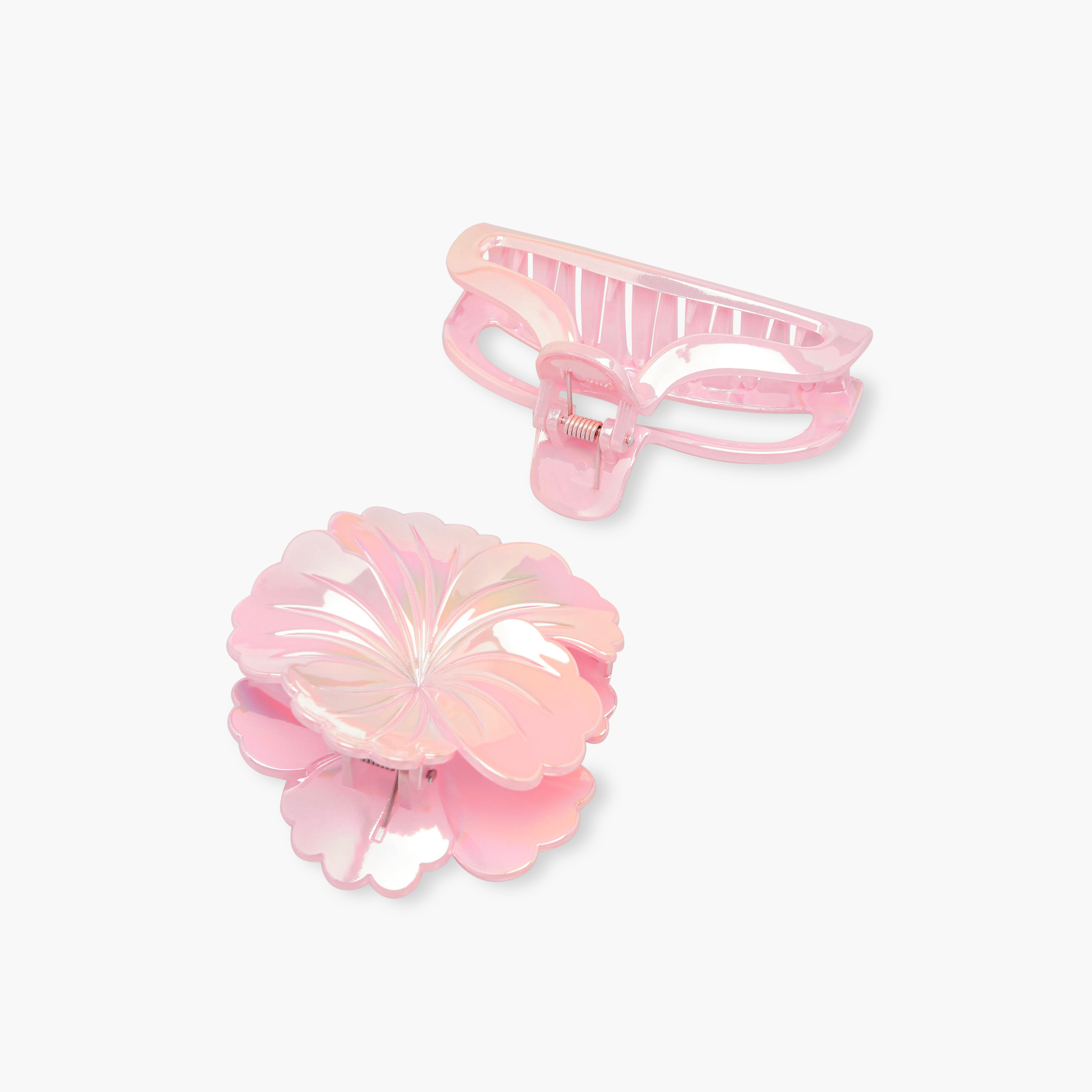 Pack of 2 Hair Clamps with Assorted Design-women-hairaccessories-clamps-image-5