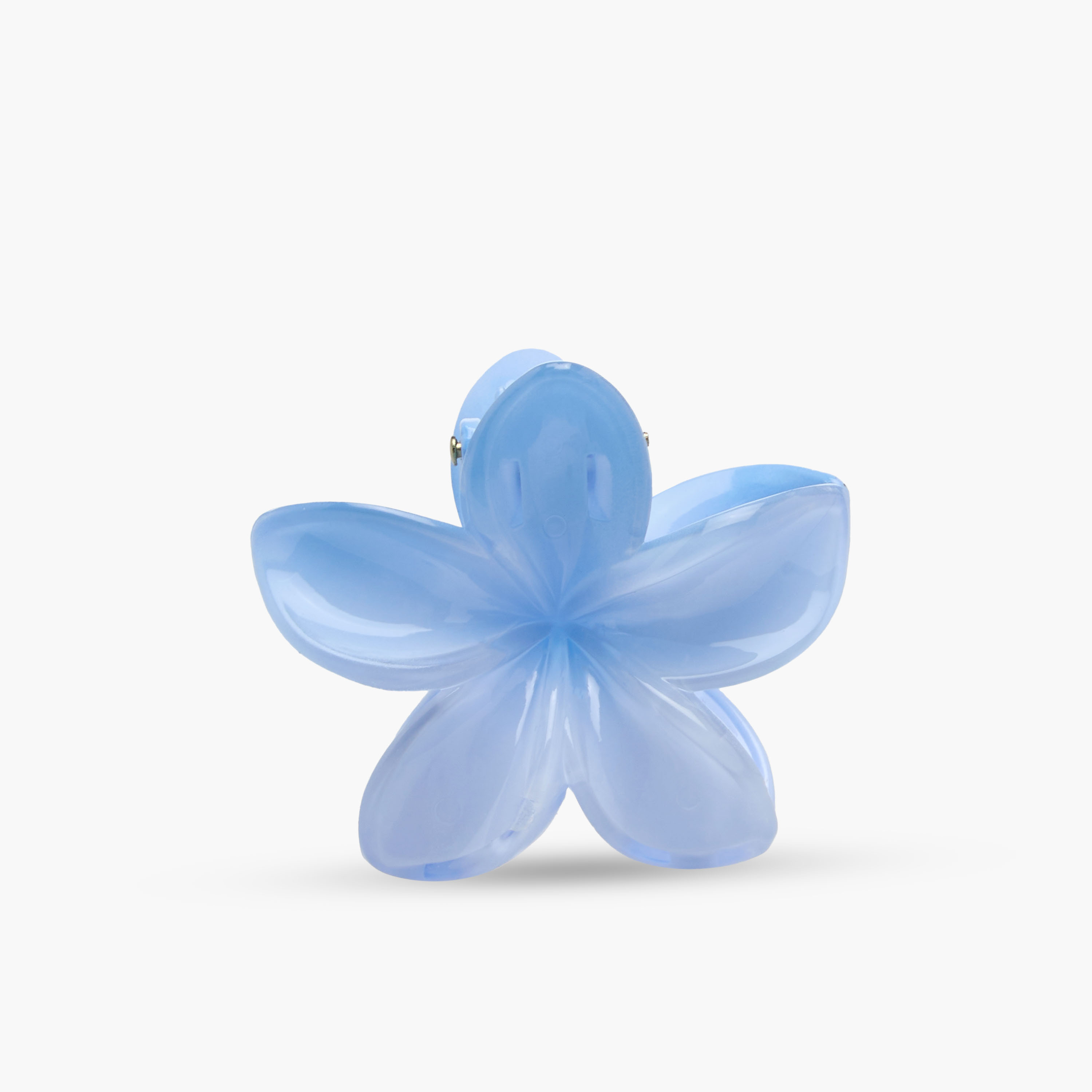 Pack of 5 Floral Hair Clamps-women-hairaccessories-clips-image-4