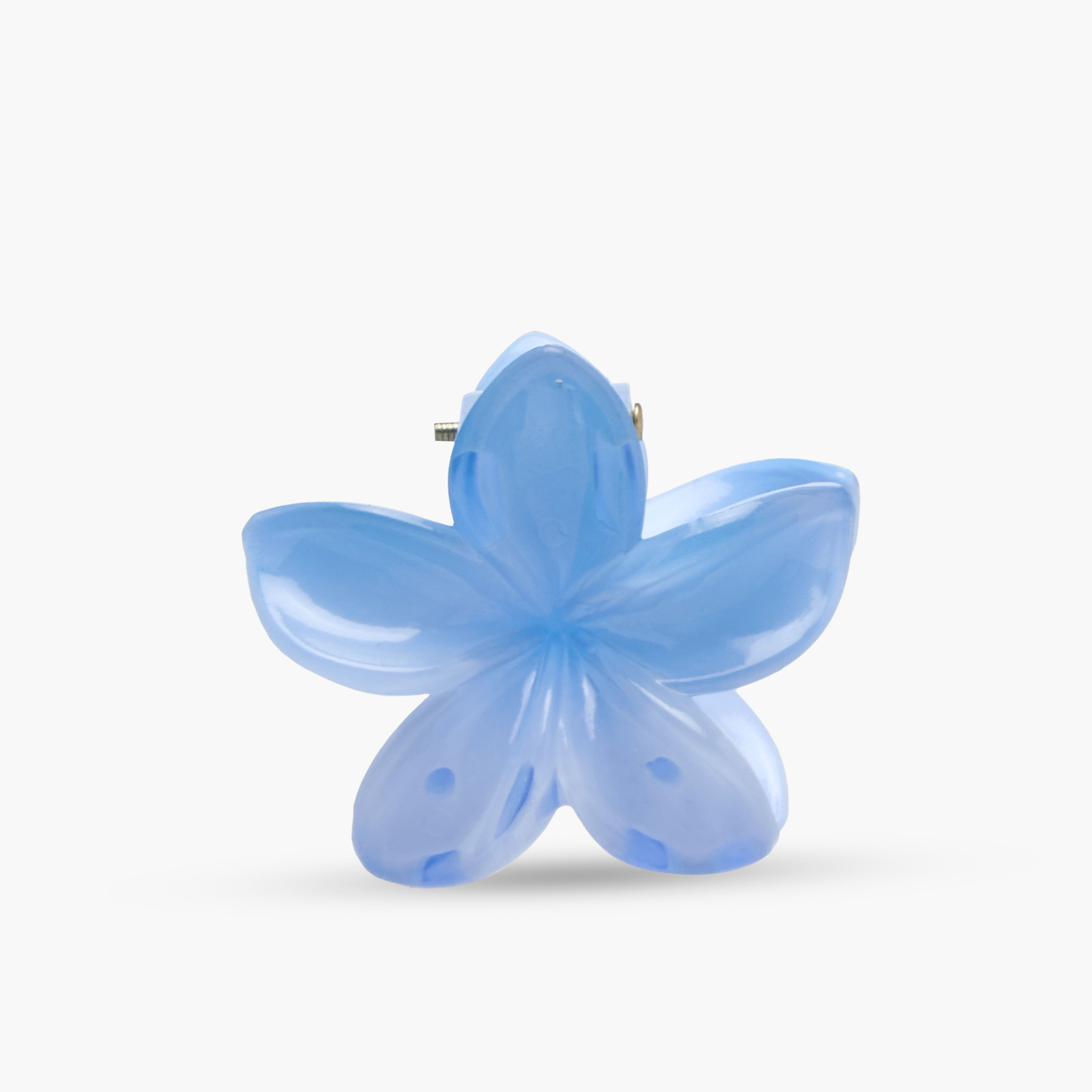 Pack of 5 Floral Hair Clamps-women-hairaccessories-clips-image-7