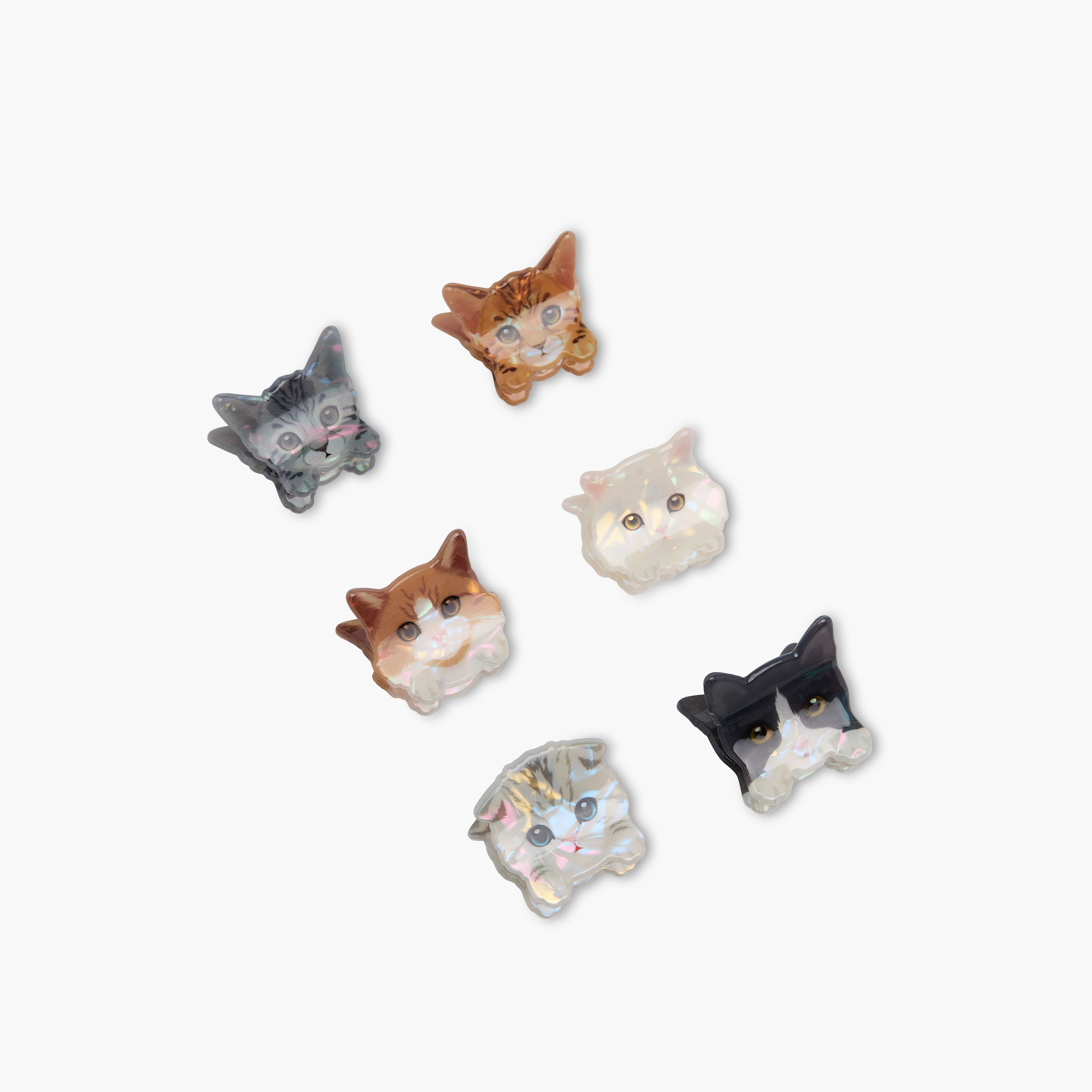 Pack of 6 Cat Hair Clamp-women-hairaccessories-clamps-image-9