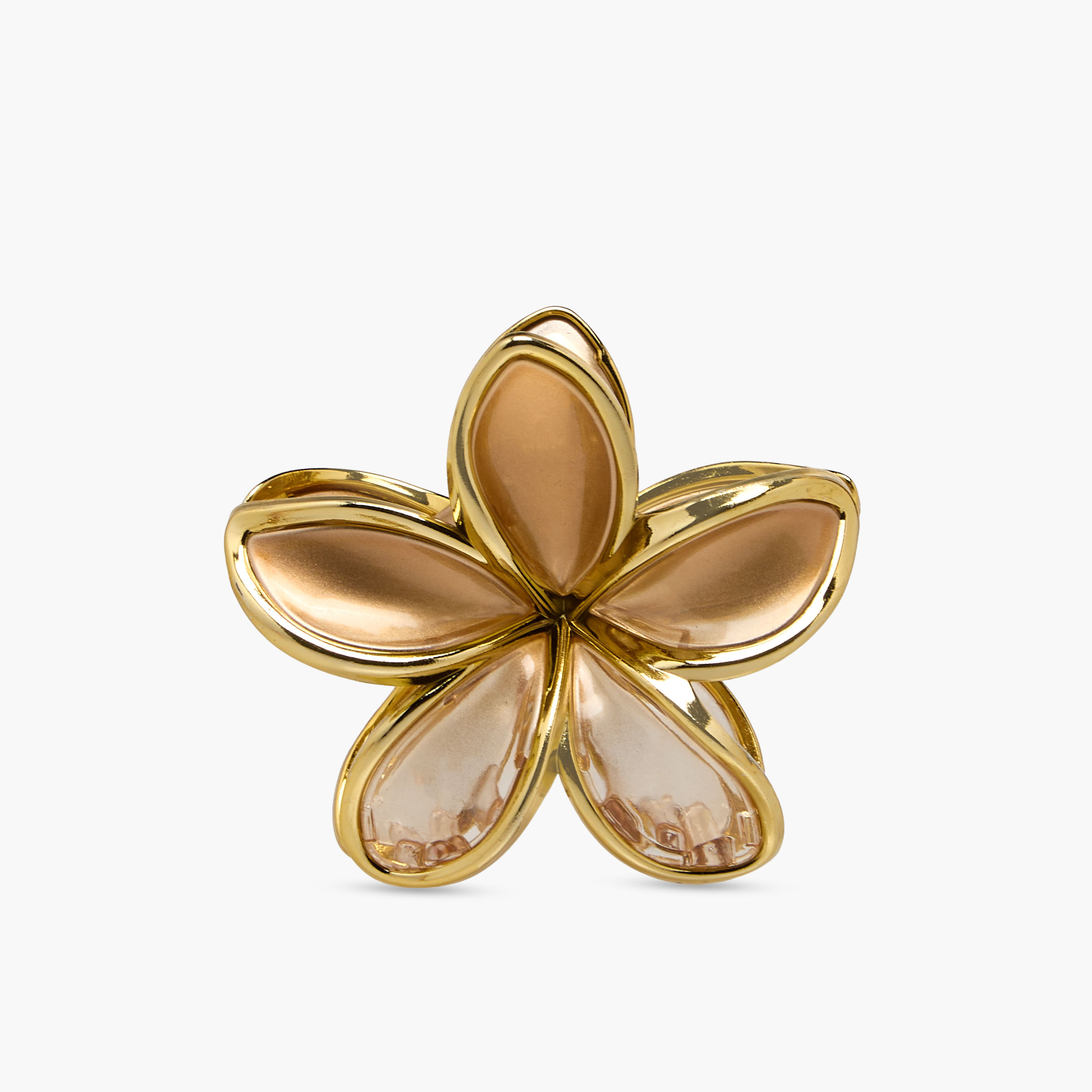 طقم من 2 - مشبك شعر بتصميم ميتاليك-women-hairaccessories-clamps-image-2