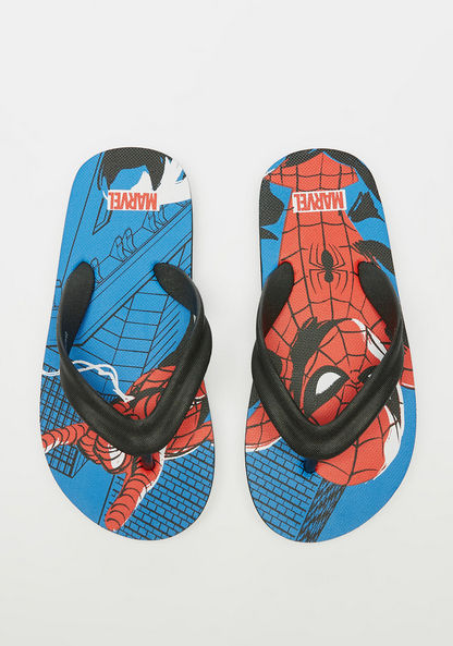Marvel Spider-Man Print Flip Flops-Boy%27s Flip Flops & Beach Slippers-image-0