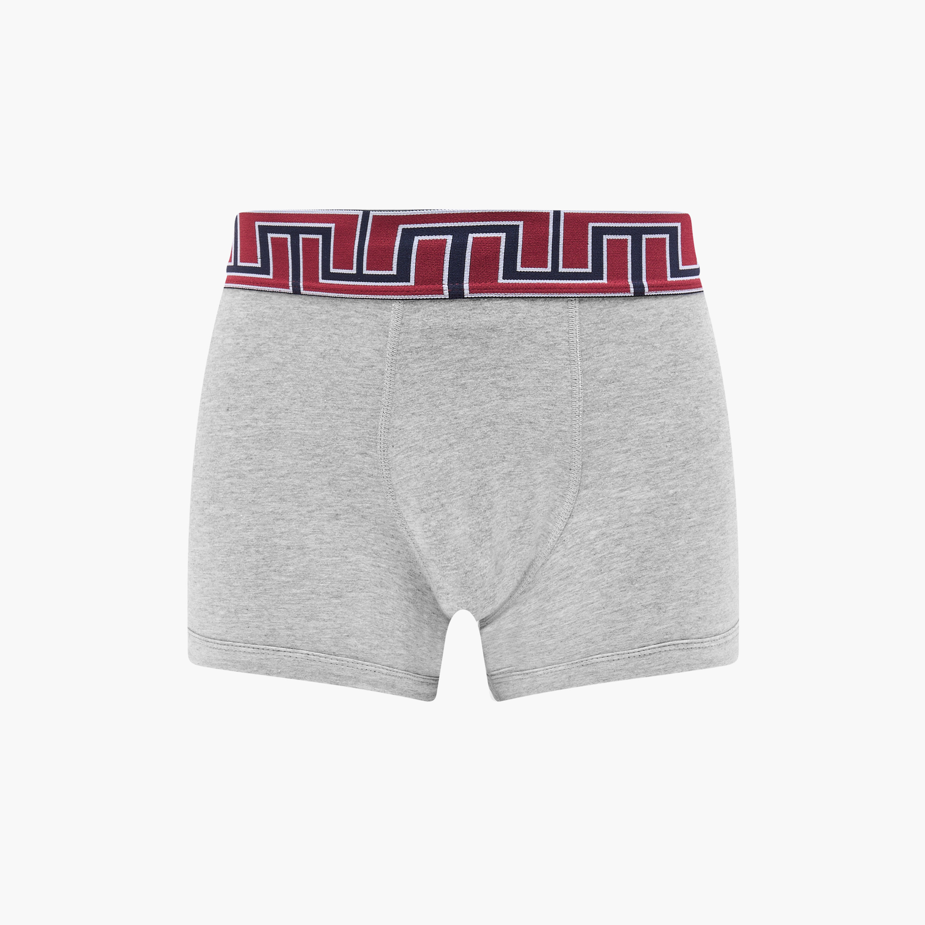 Men Printed Waistband Cotton Hipster Trunks - Pack of 3-men-clothing-innerwear-underwear-image-9