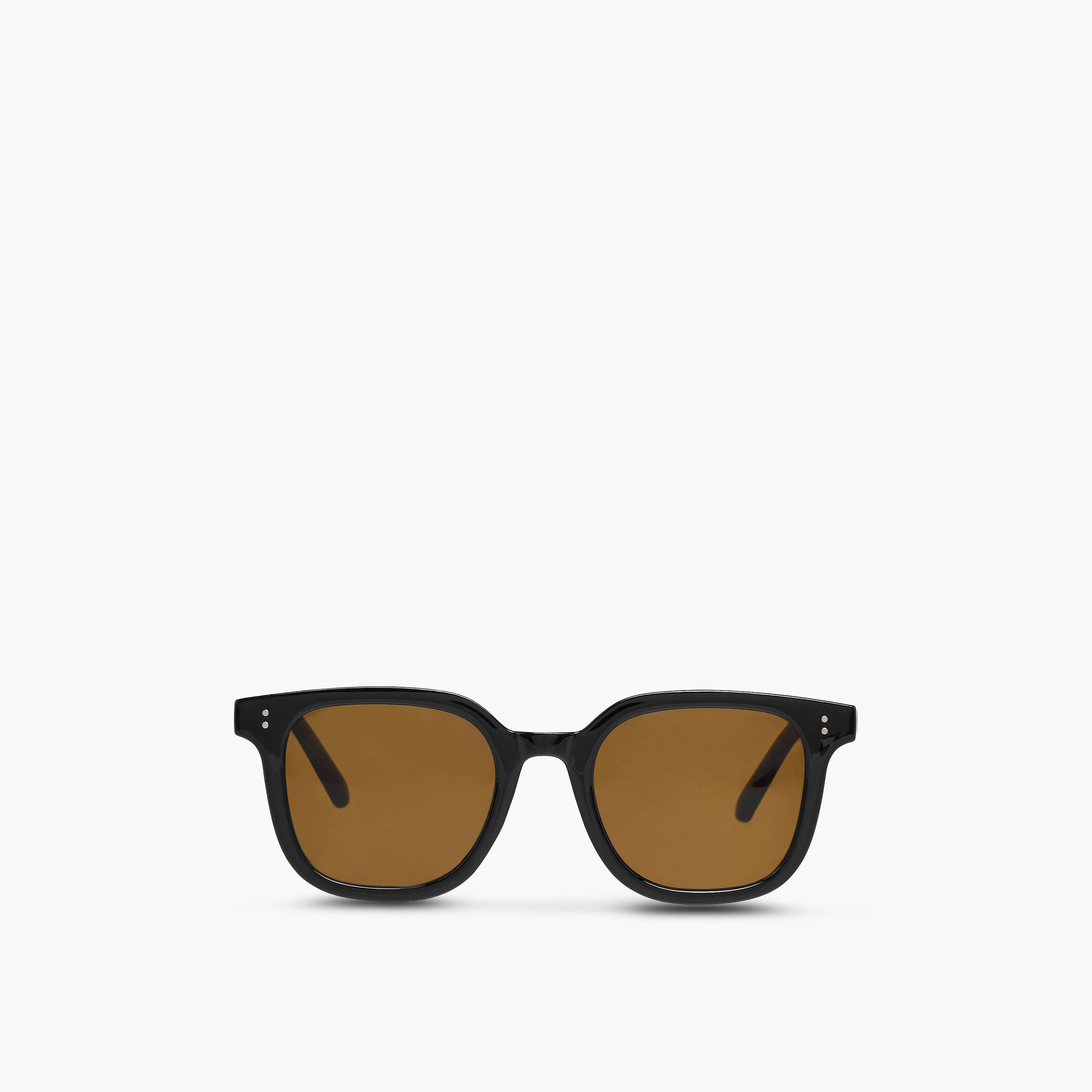 Men Brown Lens Sunglasses-men-sunglasses-image-3