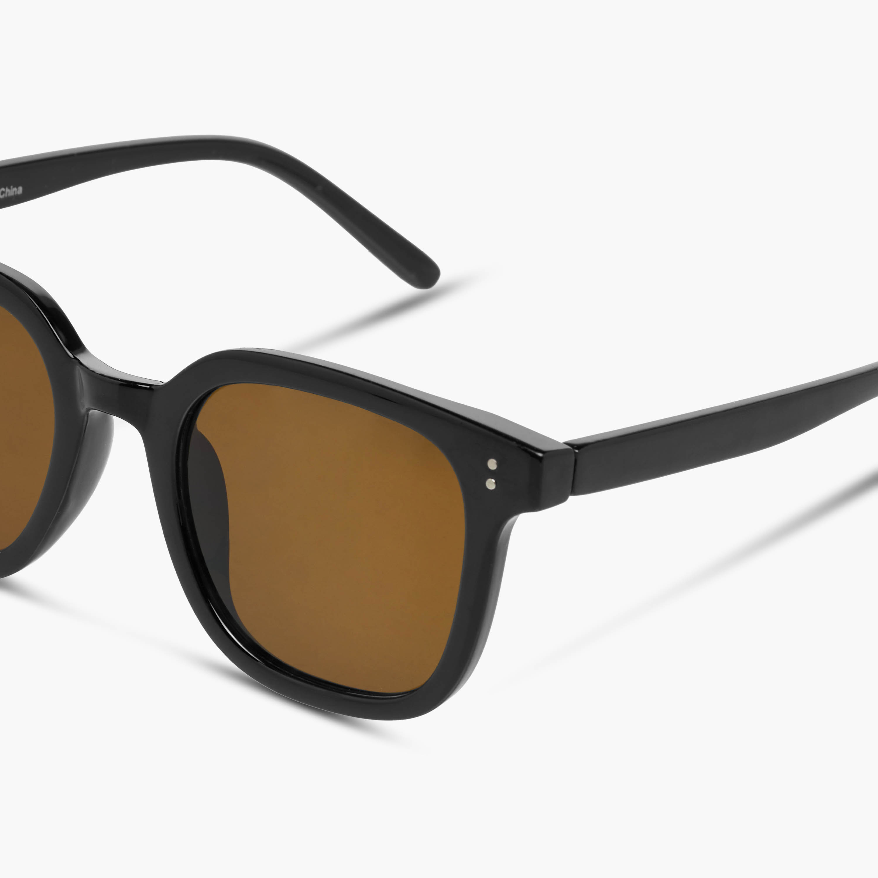 Men Brown Lens Sunglasses-men-sunglasses-image-6