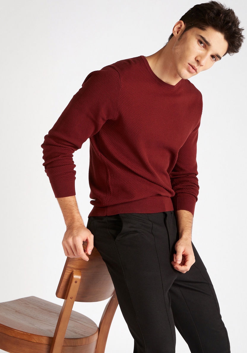 Textured Sweater with Crew Neck and Long Sleeves-Sweaters-image-0