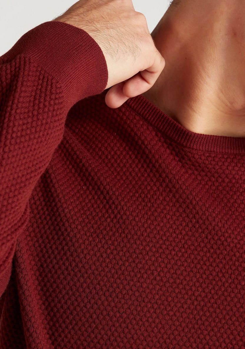 Textured Sweater with Crew Neck and Long Sleeves-Sweaters-image-2
