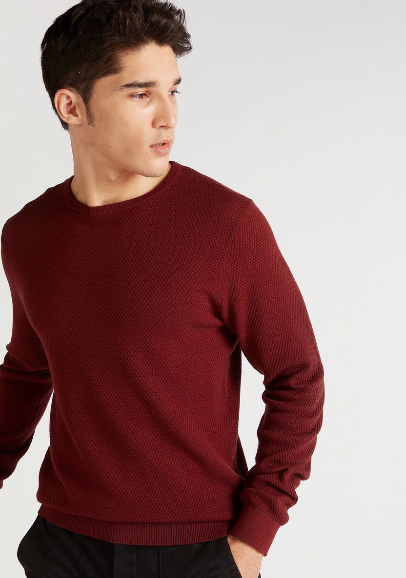 Textured Sweater with Crew Neck and Long Sleeves-Sweaters-image-5
