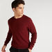 Textured Sweater with Crew Neck and Long Sleeves-Sweaters-thumbnail-5
