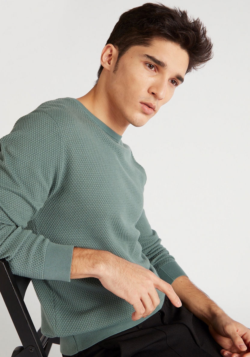 Textured Sweater with Crew Neck and Long Sleeves-Sweaters-image-0