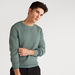 Textured Sweater with Crew Neck and Long Sleeves-Sweaters-thumbnailMobile-4