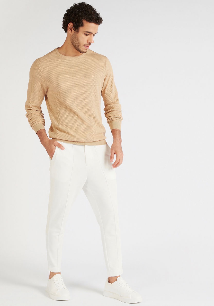 Textured Sweater with Crew Neck and Long Sleeves-Sweaters-image-1