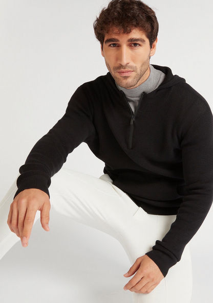 Textured Regular Fit Hooded Sweater with Long Sleeves-Sweaters-image-1