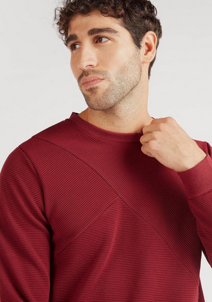 Textured Crew Neck Sweater with Long Sleeves