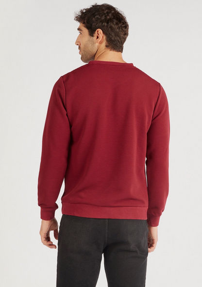 Textured Crew Neck Sweater with Long Sleeves
