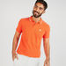 Solid Polo Shirt with Short Sleeves and Tipping Detail-Polos-thumbnailMobile-0