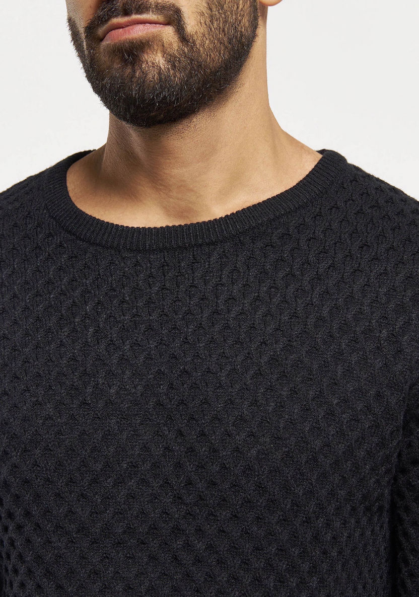 Buy Men's Textured Sweater with Crew Neck and Long Sleeves Online ...