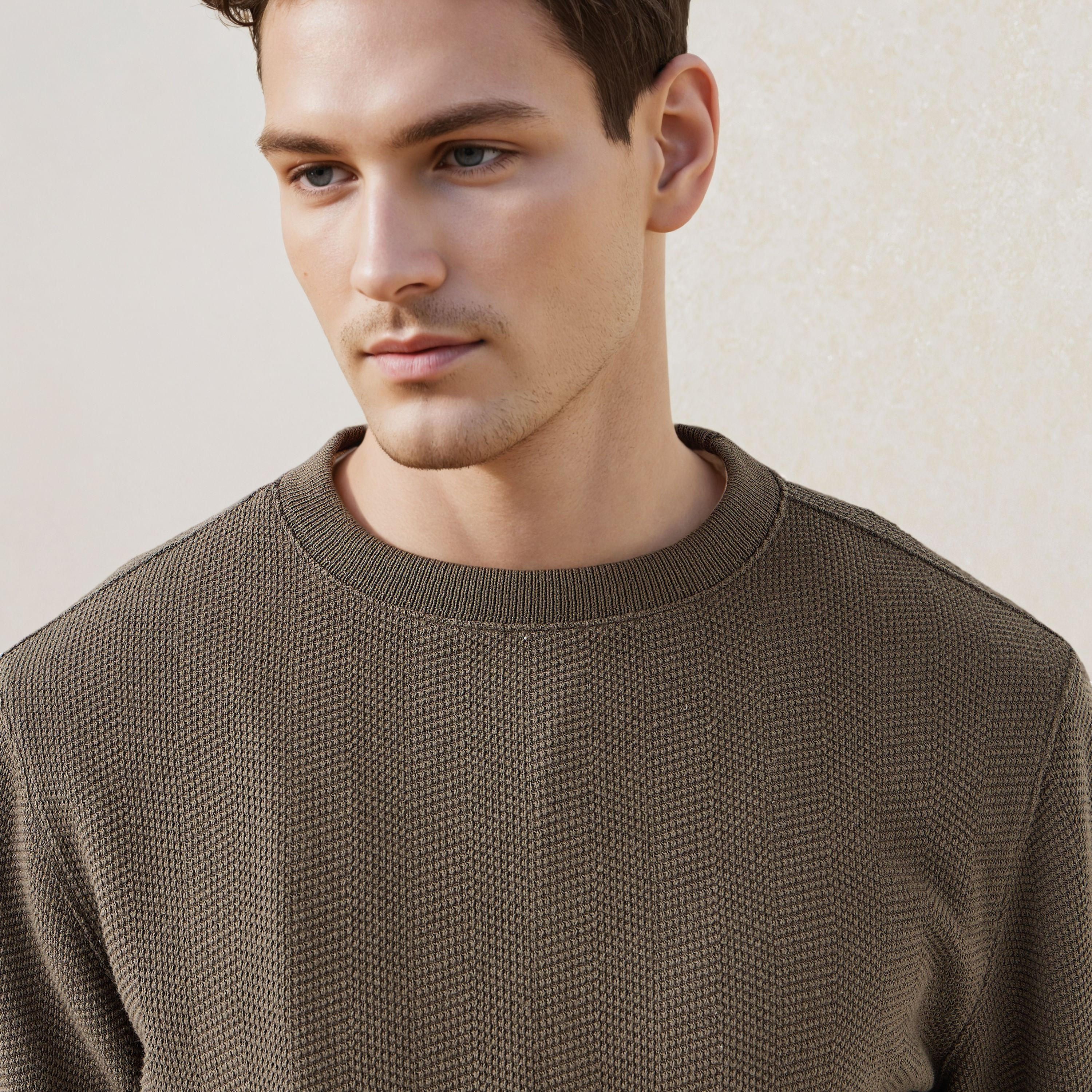 سويت شيرت جاكار بارز الملمس بياقة ضيّقة -men-winterwear-hoodiesandsweatshirts-image-4