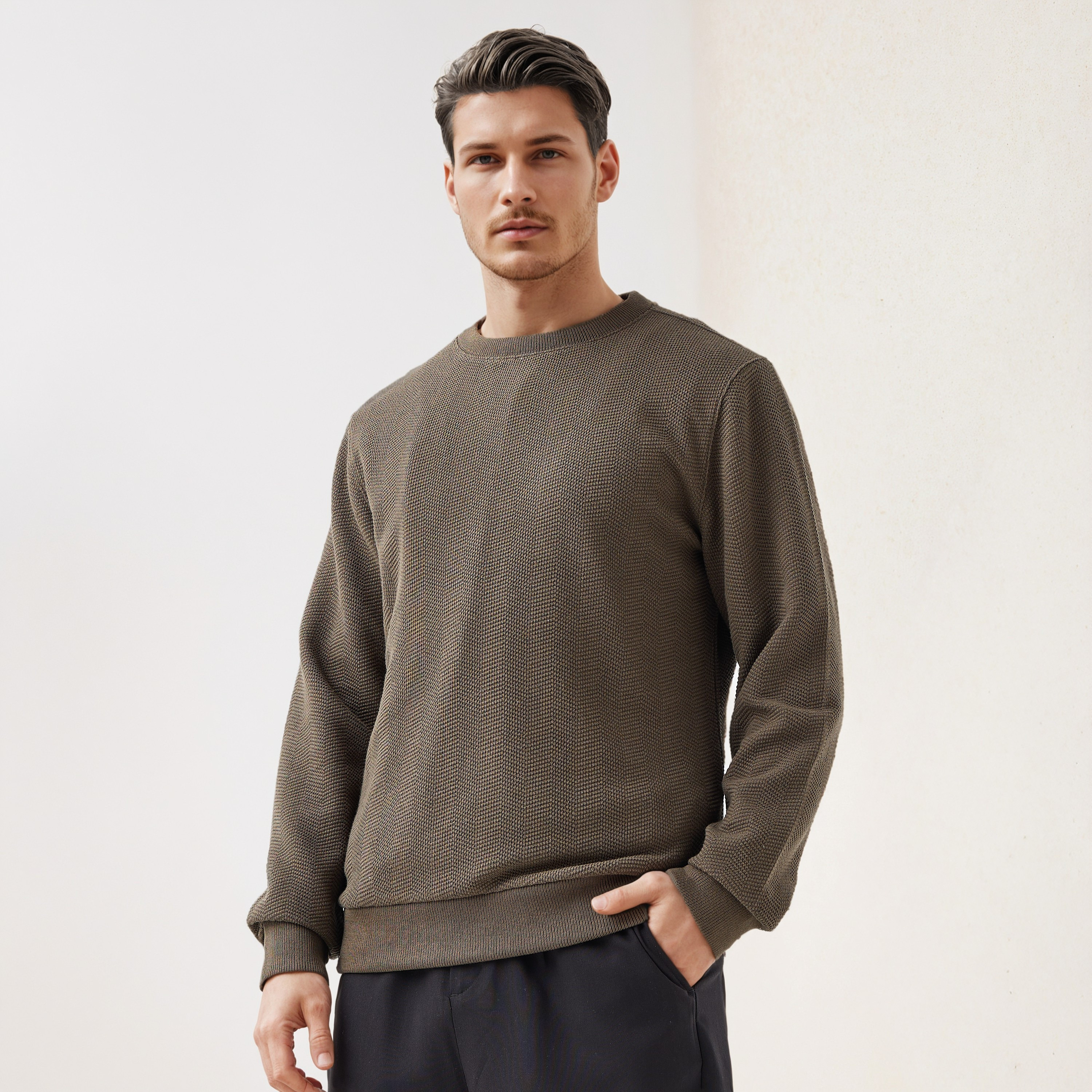 Textured Jacquard Sweatshirt with Crew Neck-men-winterwear-hoodiesandsweatshirts-image-5