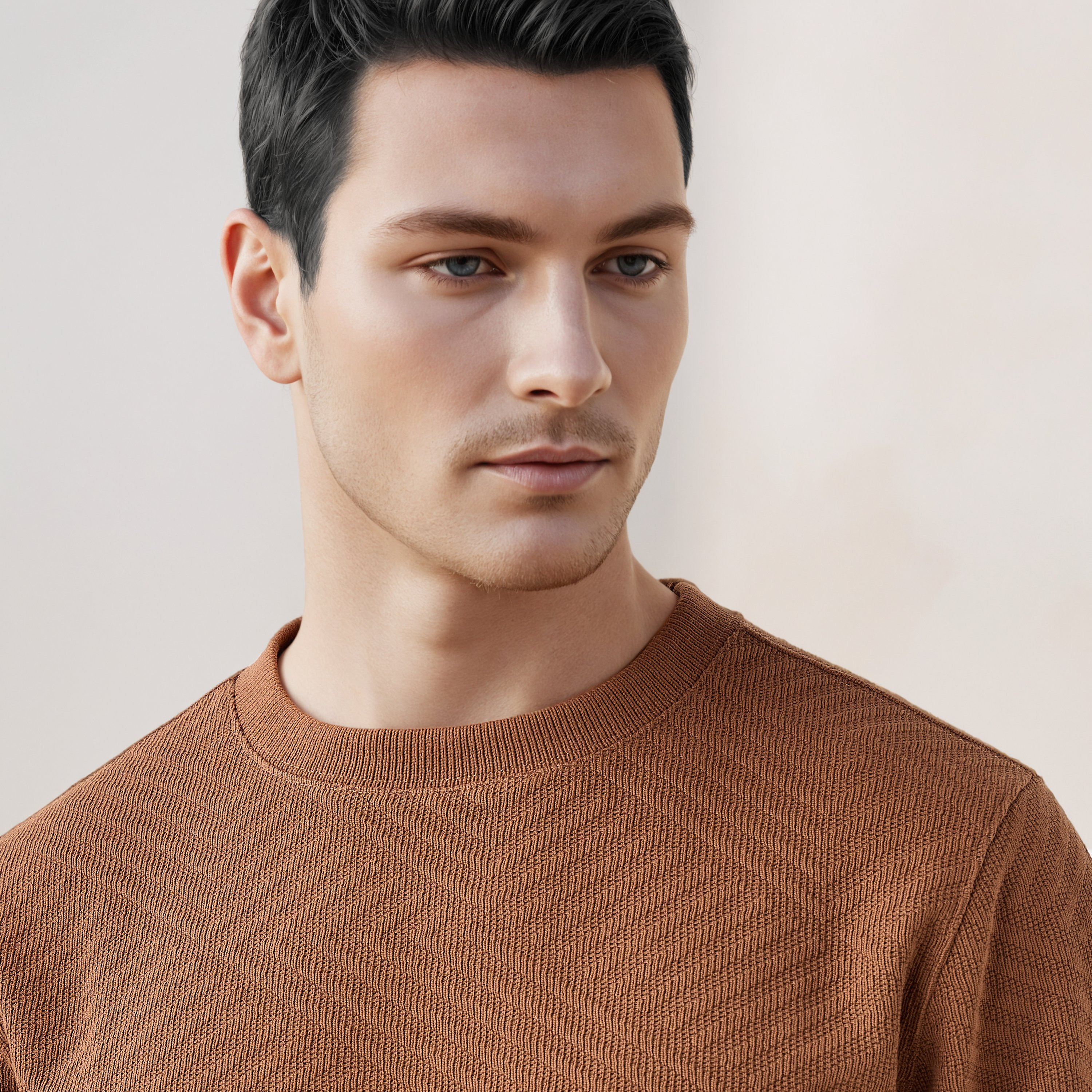 سويت شيرت جاكار بارز الملمس بياقة ضيّقة -men-winterwear-hoodiesandsweatshirts-image-21