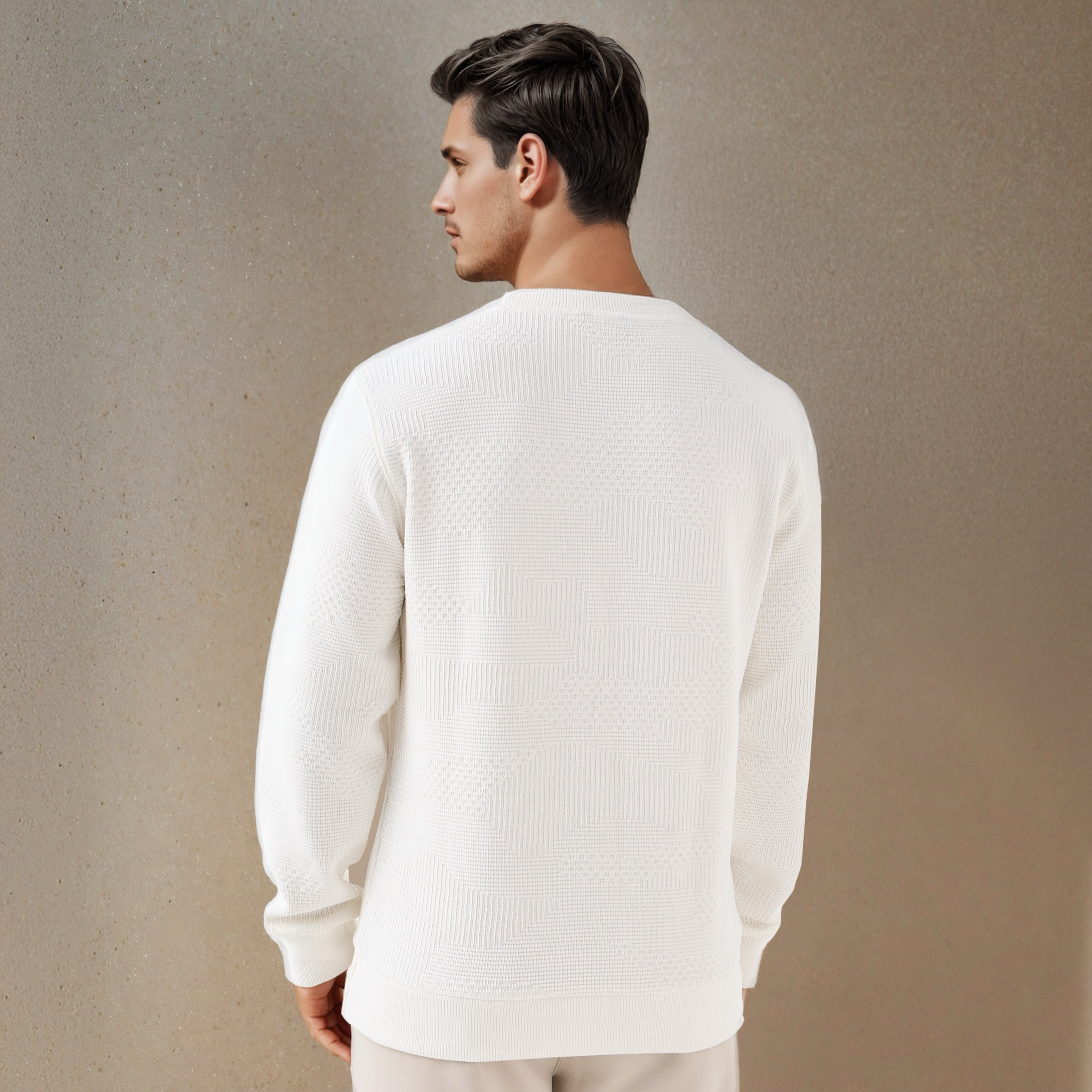 Textured Jacquard Sweatshirt with Crew Neck-men-winterwear-hoodiesandsweatshirts-image-5