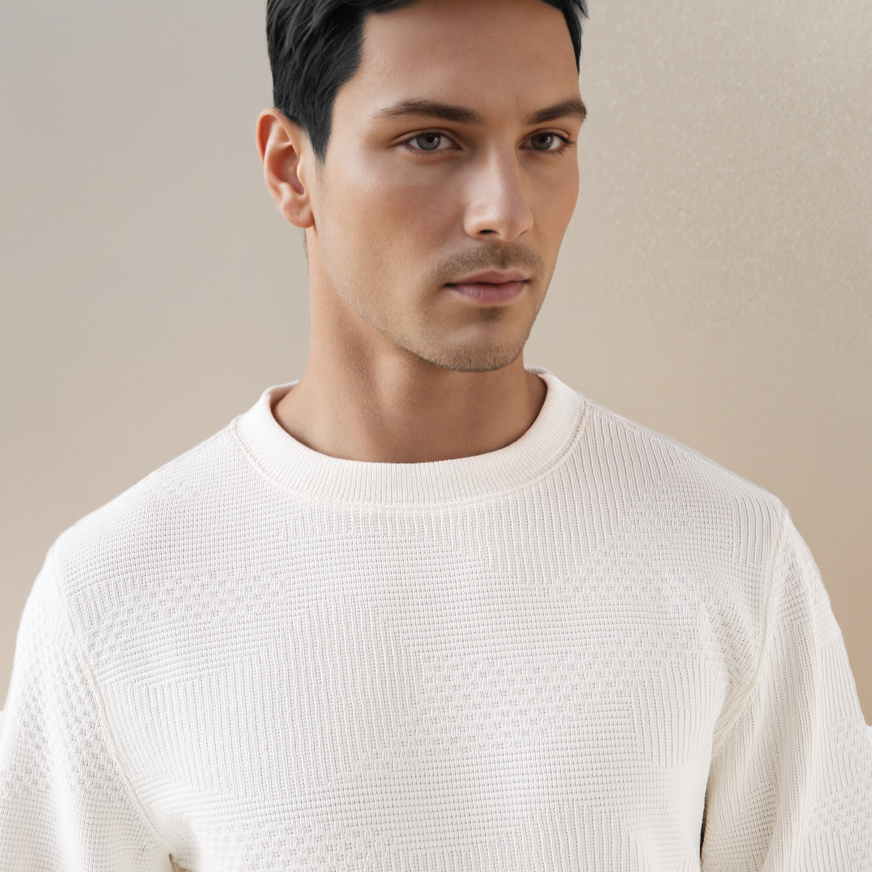 Textured Jacquard Sweatshirt with Crew Neck-men-winterwear-hoodiesandsweatshirts-image-6
